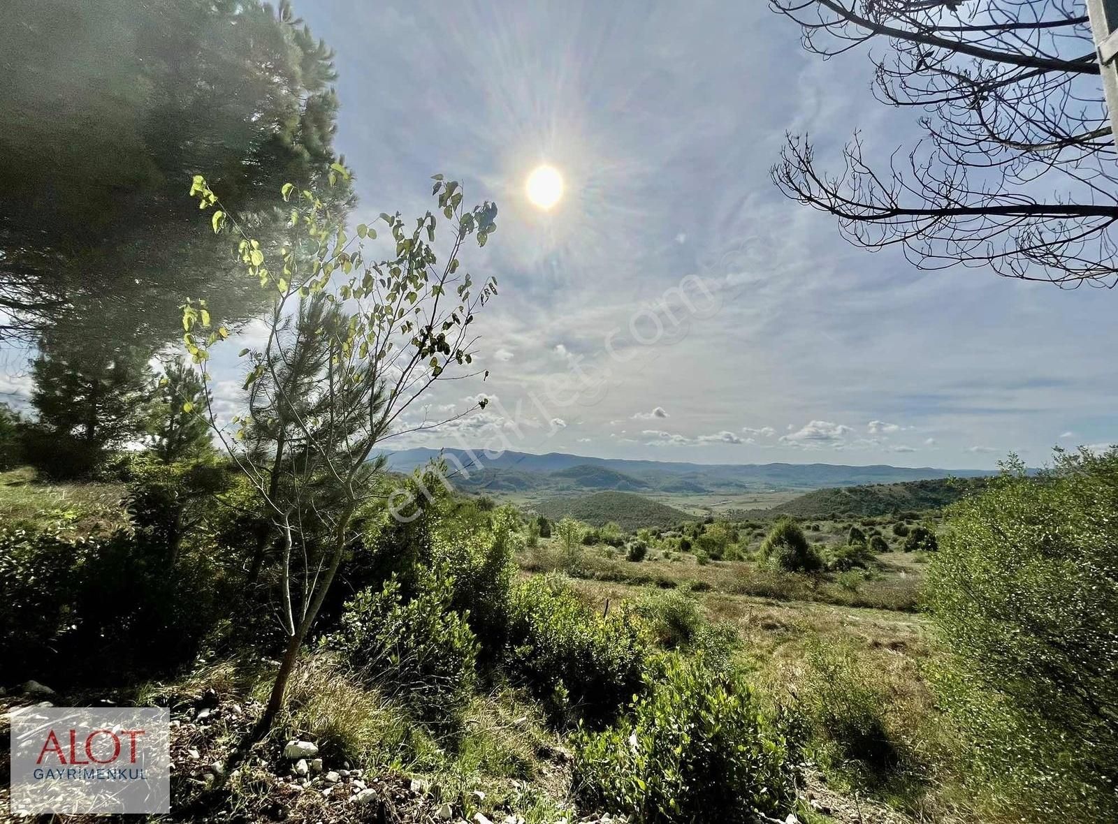 Şile Çelebi De Satılık 5653m2 Tarla - Görsel 3