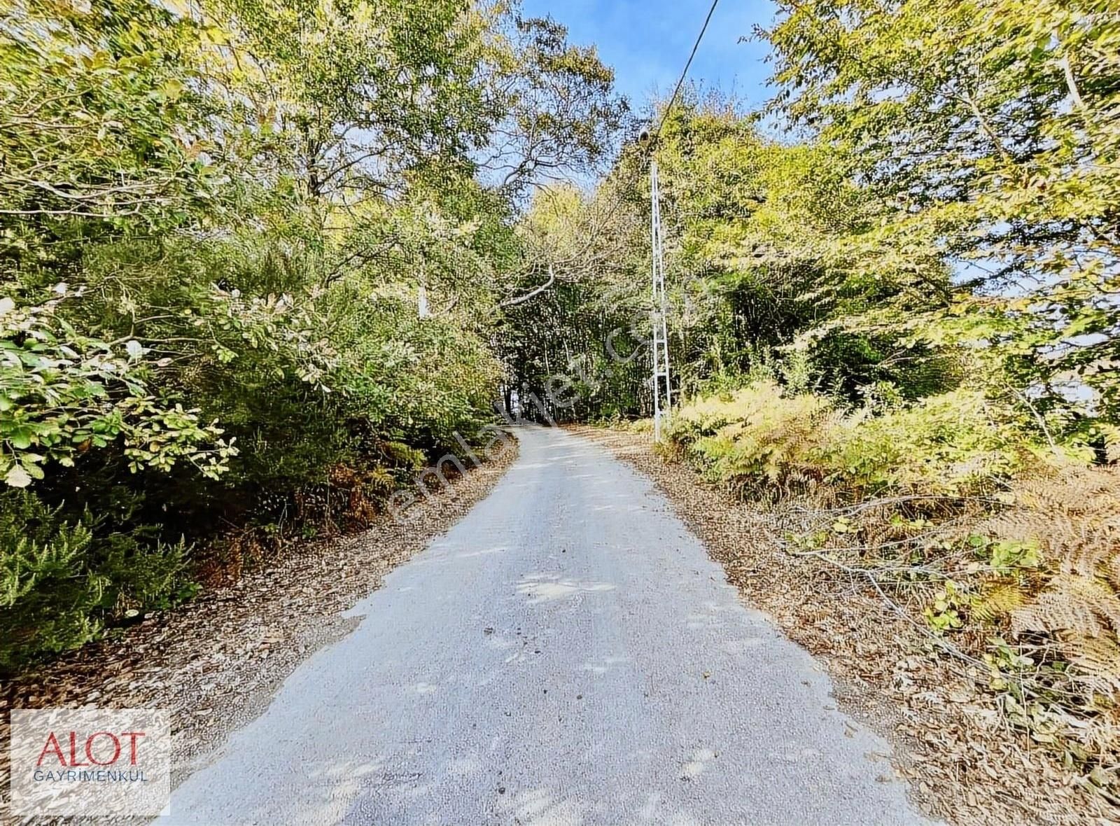 Şile Çelebi De Satılık 5653m2 Tarla - Görsel 12