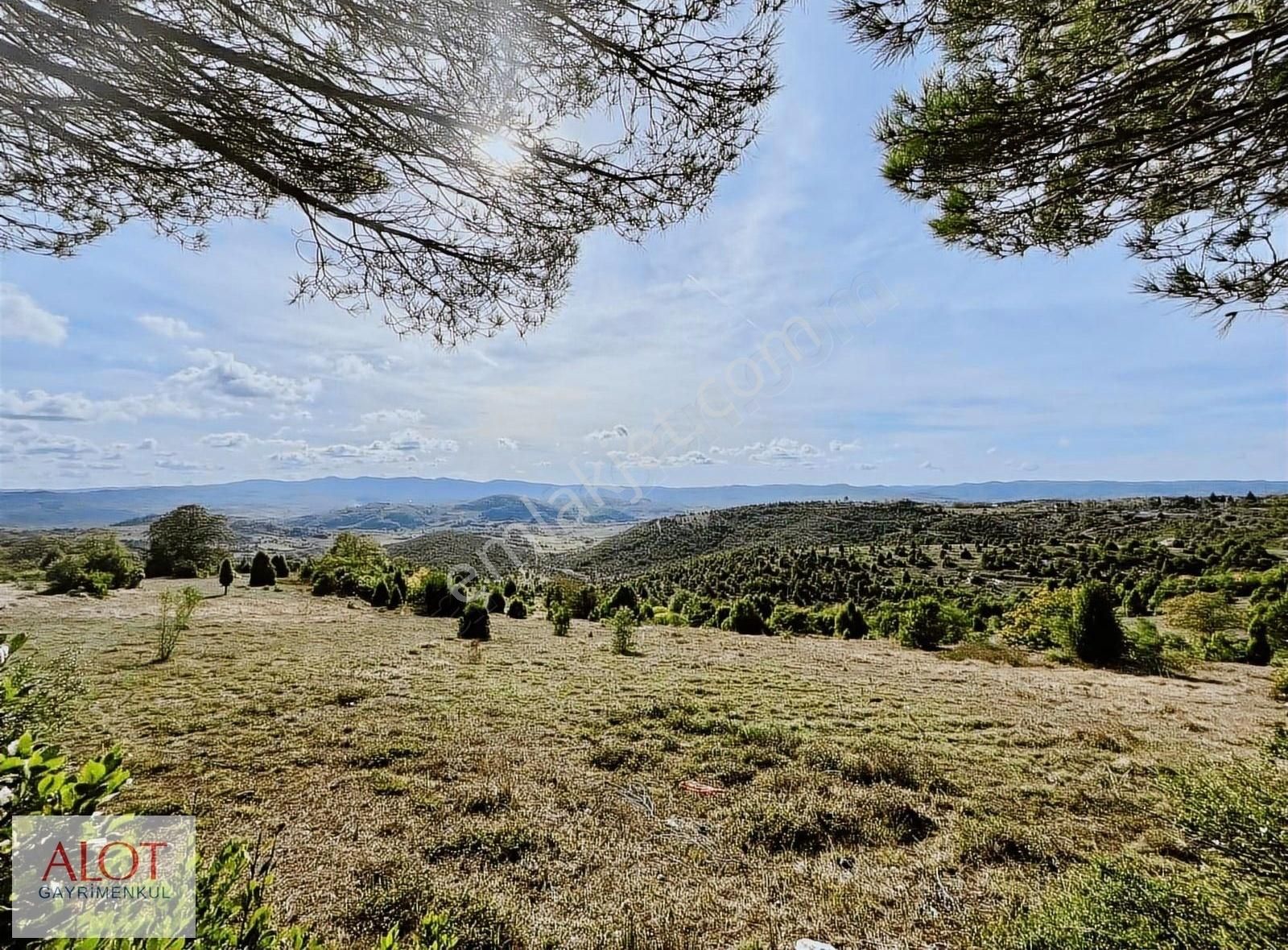 Şile Çelebi De Satılık 5653m2 Tarla - Görsel 23