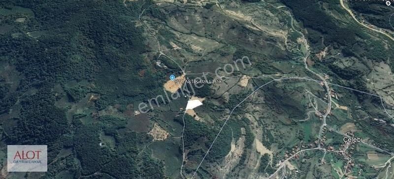 Şile Çelebi De Satılık 5653m2 Tarla - Görsel 16