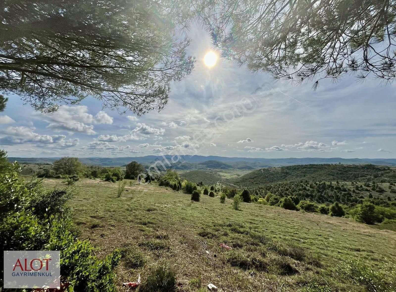 Şile Çelebi De Satılık 5653m2 Tarla - Görsel 9