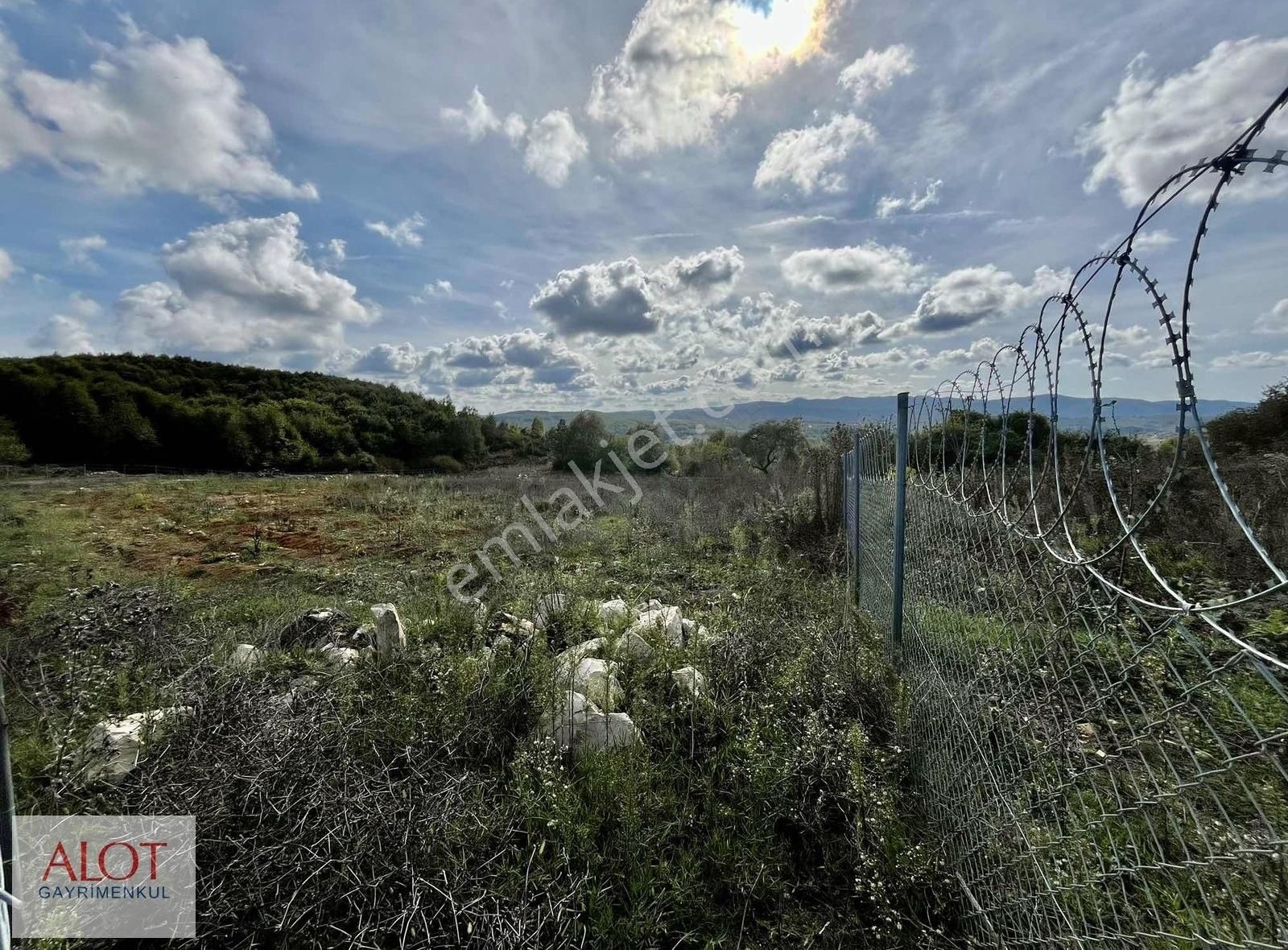 Şile Çelebi De Satılık 5653m2 Tarla - Görsel 11