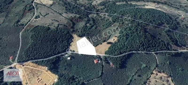 Şile Çelebi De Satılık 5653m2 Tarla - Görsel 7