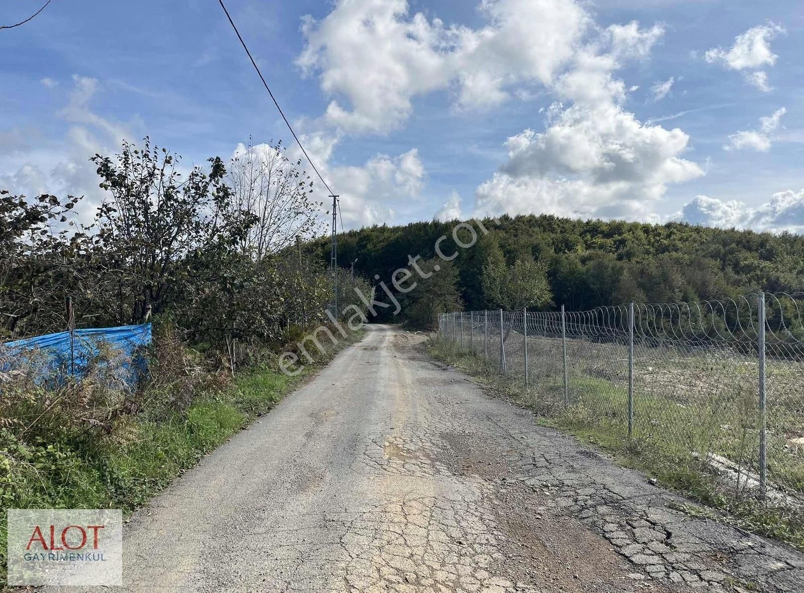 Şile Çelebi De Satılık 5653m2 Tarla - Görsel 18