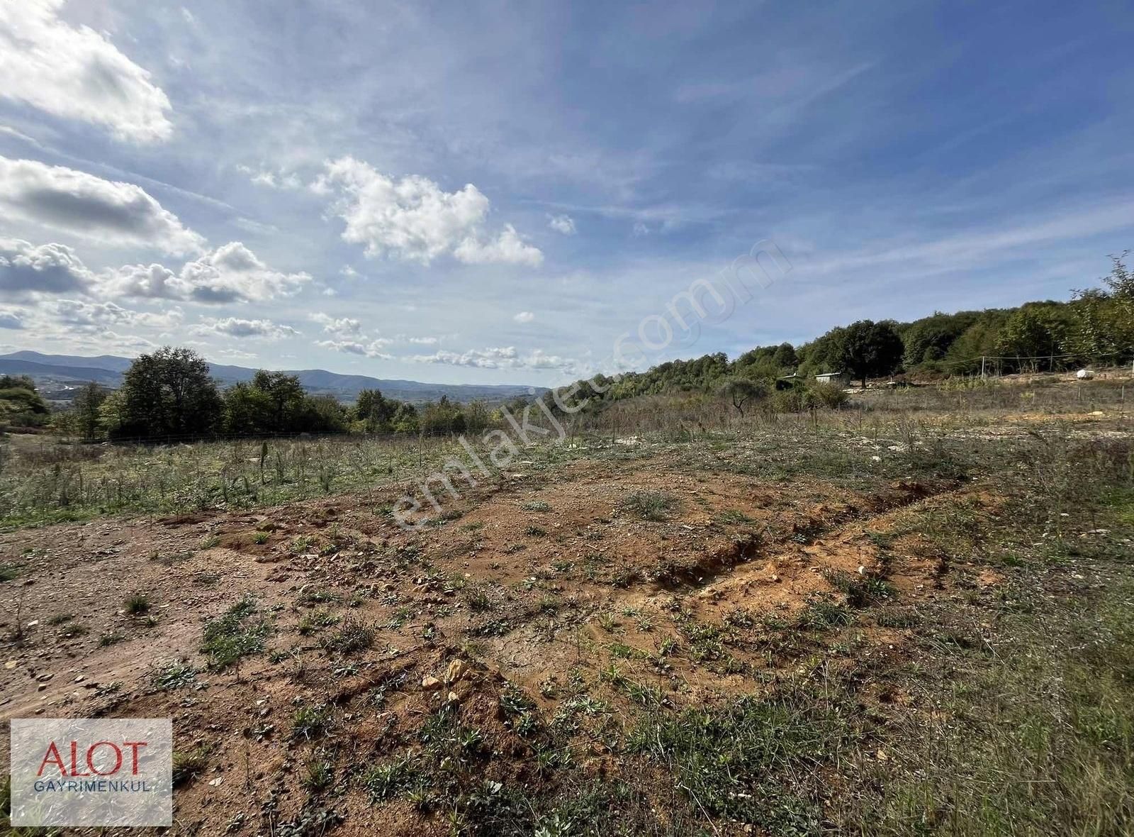 Şile Çelebi De Satılık 5653m2 Tarla - Görsel 8