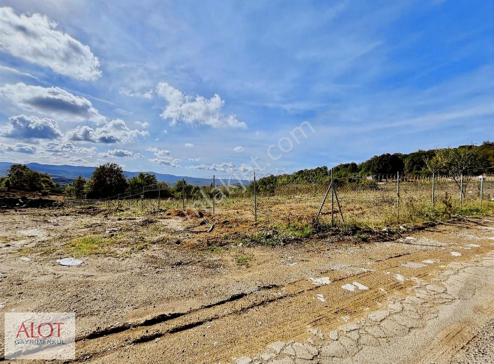 Şile Çelebi De Satılık 5653m2 Tarla - Görsel 5