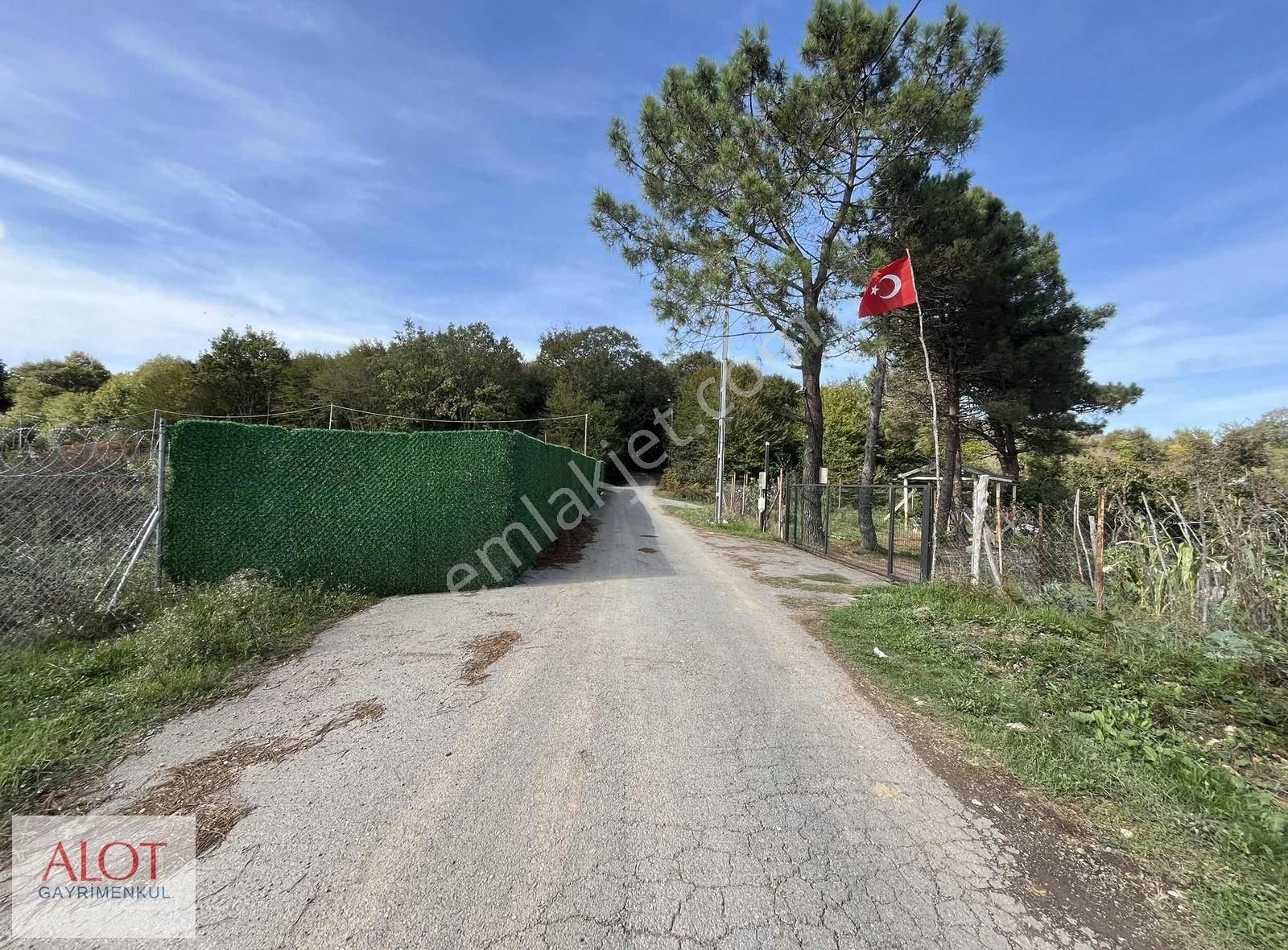 Şile Çelebi De Satılık 5653m2 Tarla