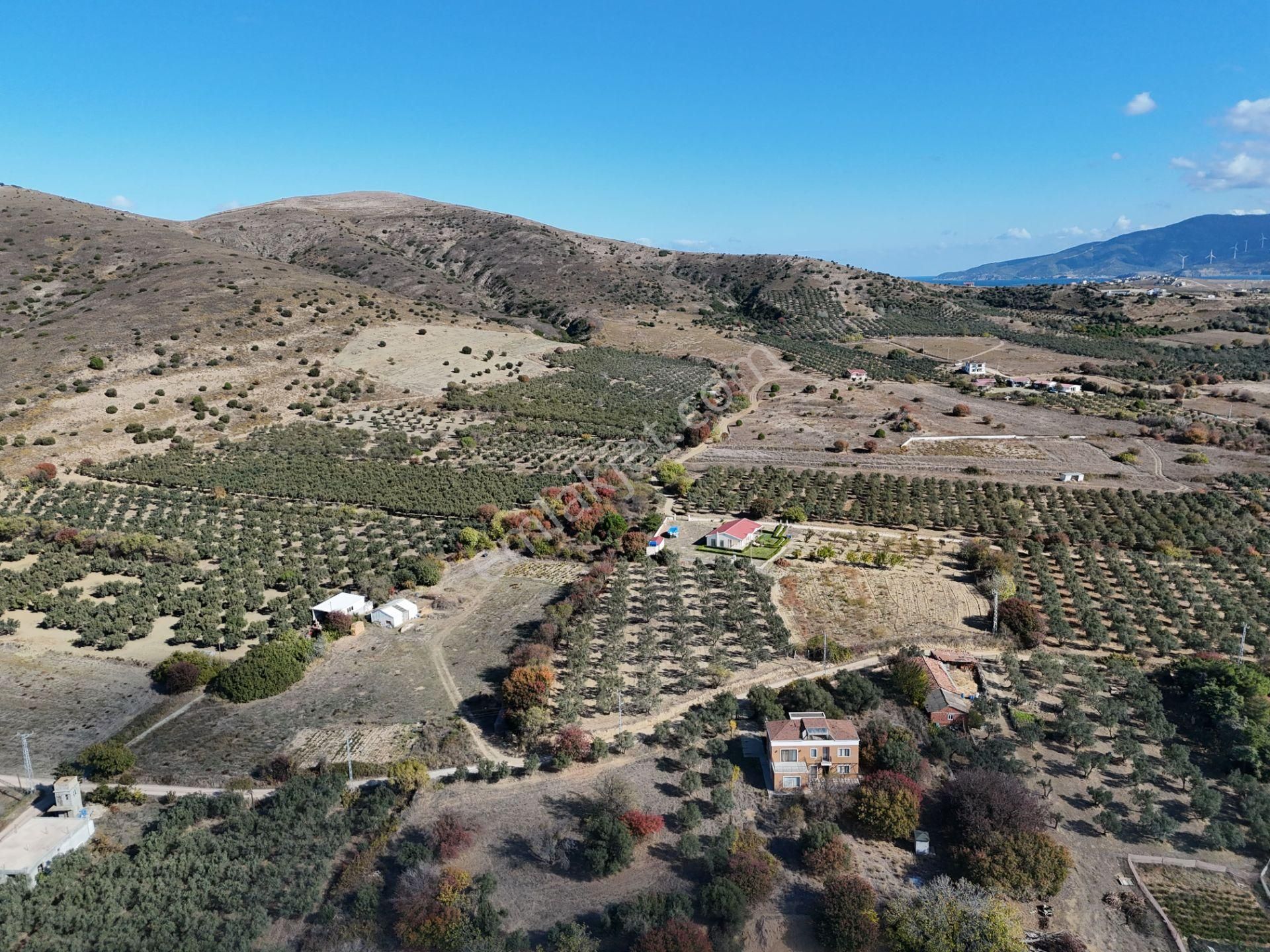 Erdek Paşalimanı'nda Satılık Müstakil Ev Müştemilat Ve Arsa - Görsel 33