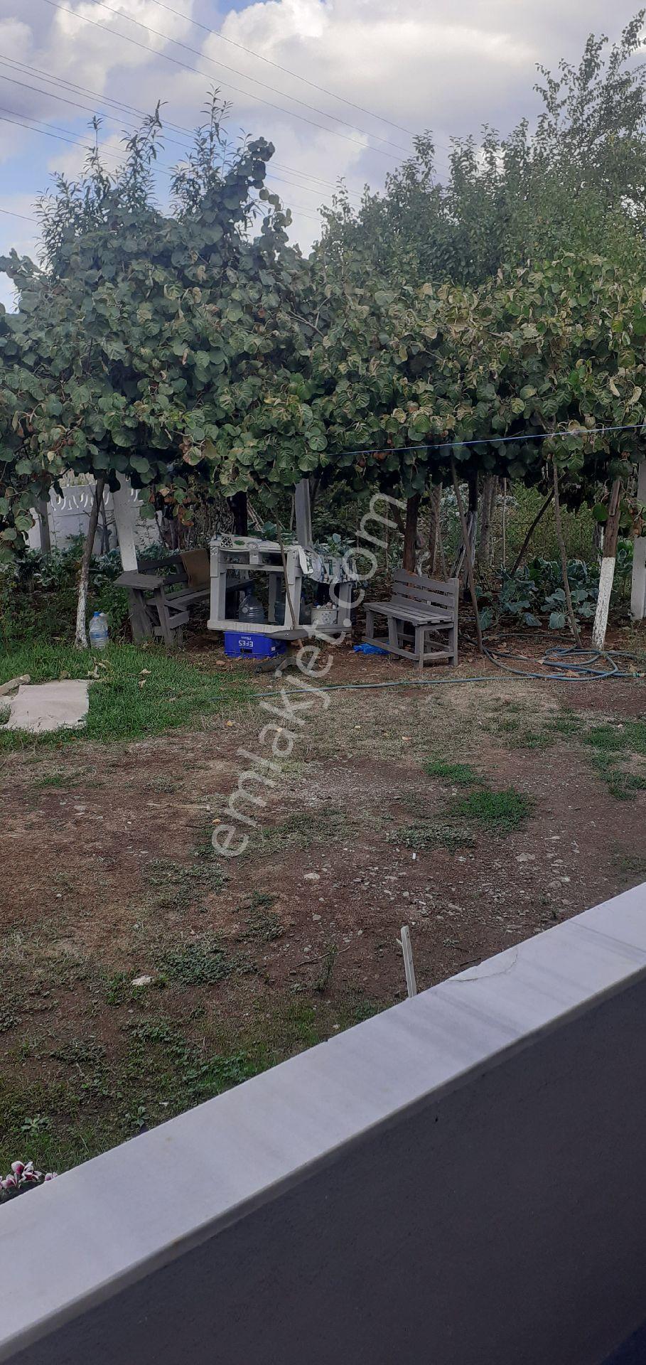 Sakarya Kocaali'de Tam Müstakil Süper Mülk - Görsel 6