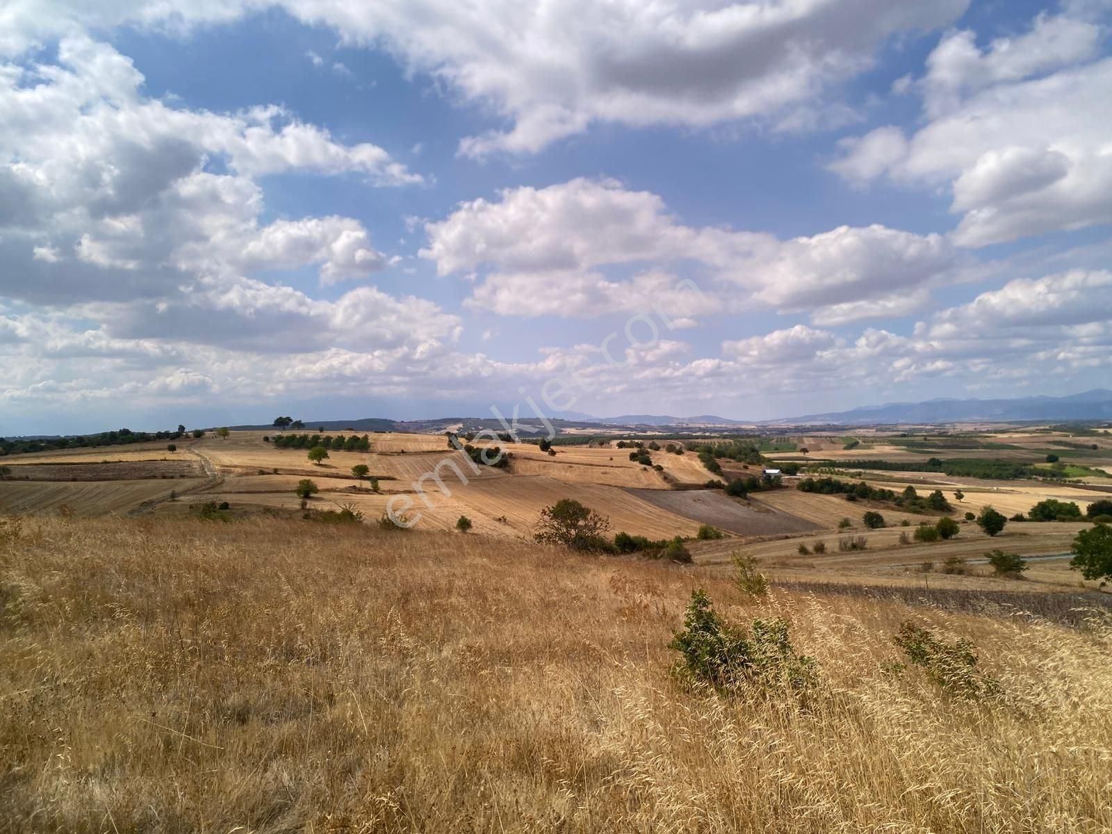 Bursa Yenişehir Çiçeközü 2458 M2 Satılık Tarla - Görsel 12