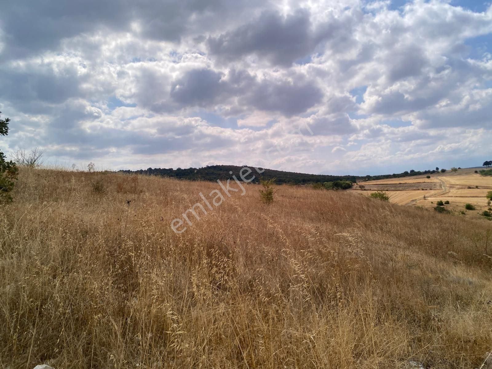 Bursa Yenişehir Çiçeközü 2458 M2 Satılık Tarla - Görsel 9