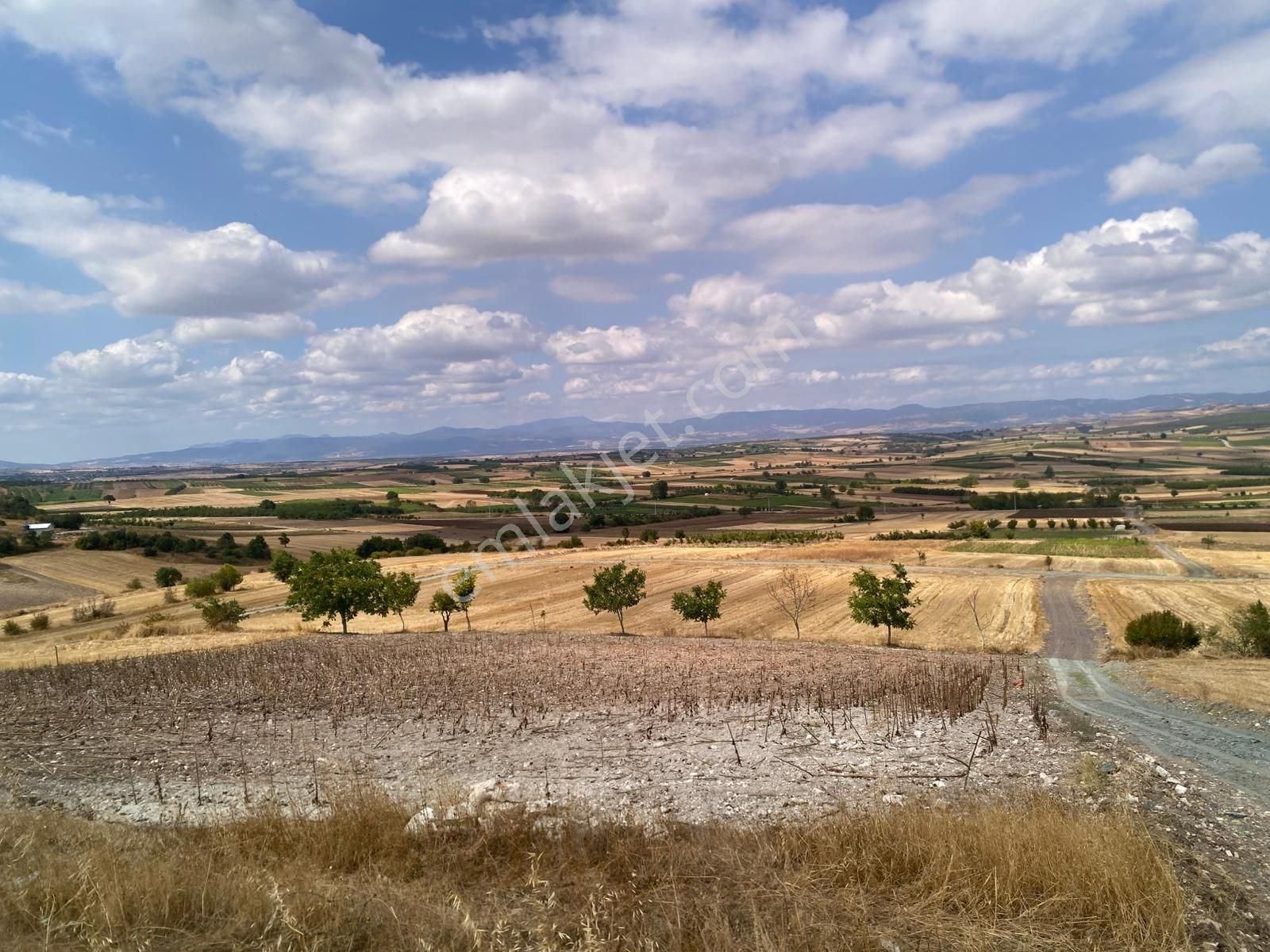 Bursa Yenişehir Çiçeközü 2458 M2 Satılık Tarla - Görsel 4