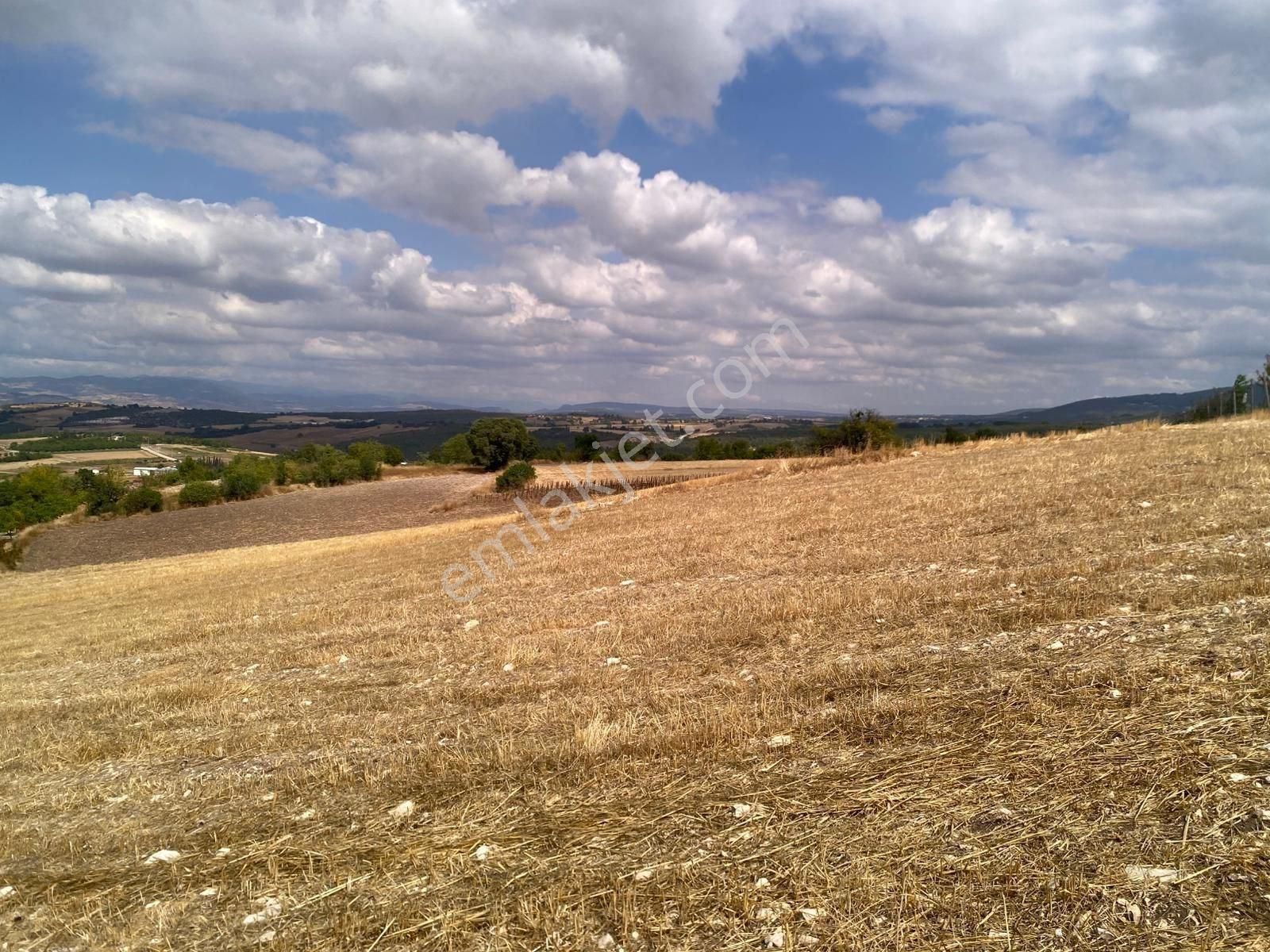 Bursa Yenişehir Çiçeközü 2458 M2 Satılık Tarla - Görsel 7