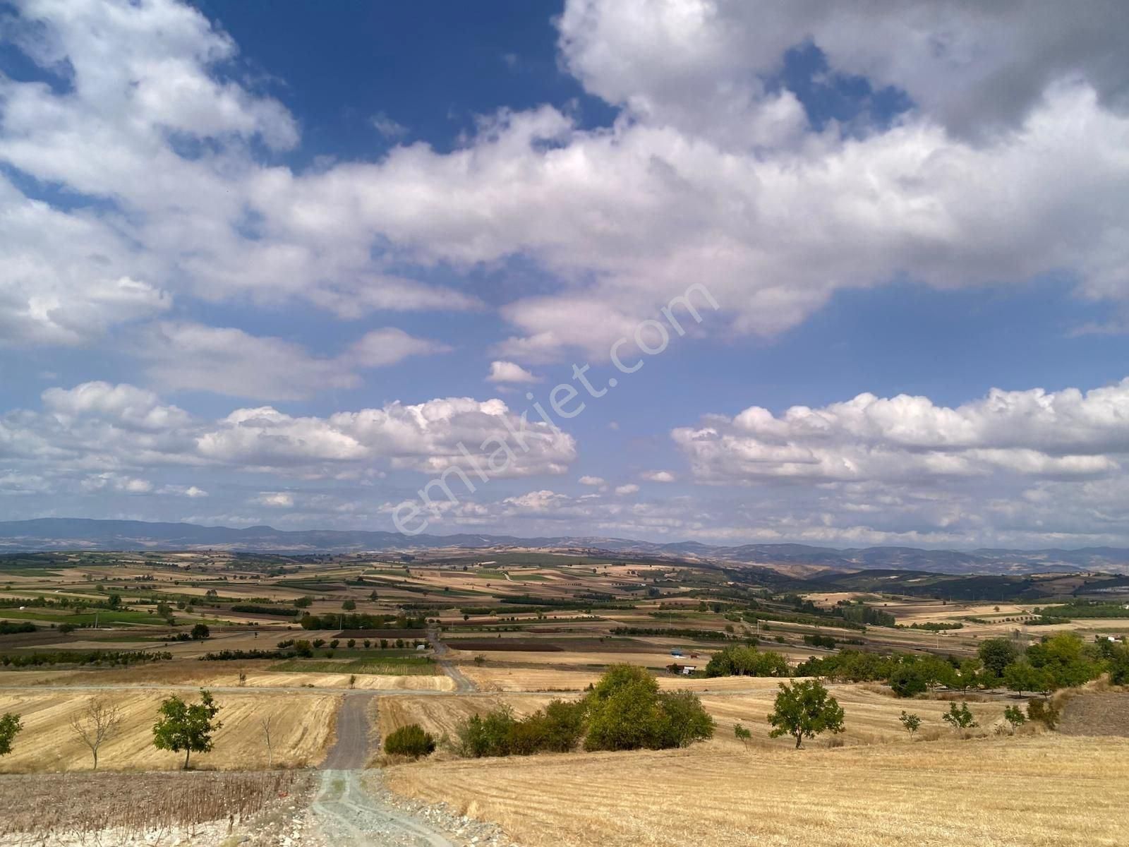 Bursa Yenişehir Çiçeközü 2458 M2 Satılık Tarla