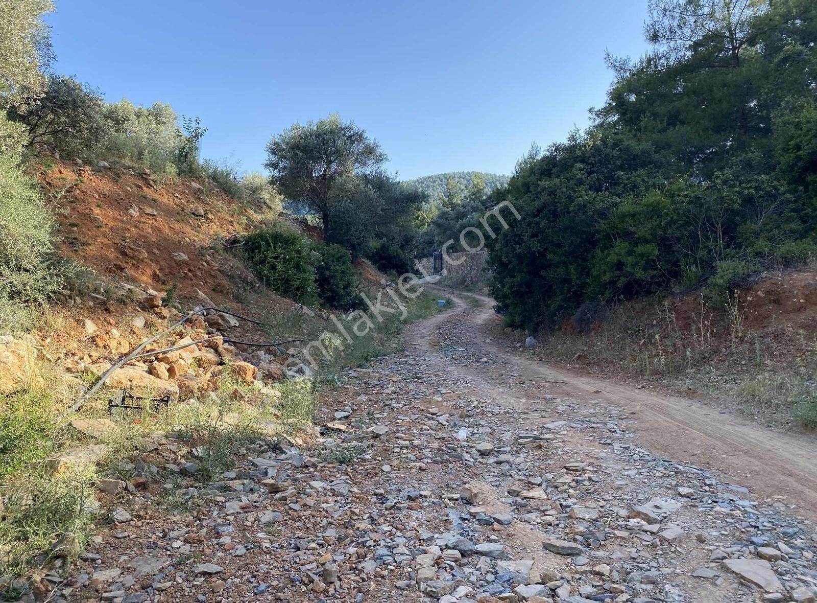 Bodrum Kızılağaç'ta Satılık 1750 M² Müstakil Tarla - Görsel 2