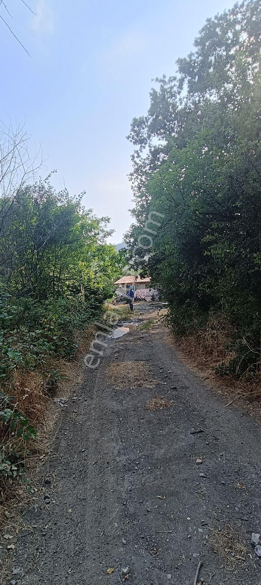 Fevziye Mahallesinde Yatırımlık Acil Satılık Kadastro Yola Cephe İmara 25 Metre Mesafede Tarla - Görsel 24