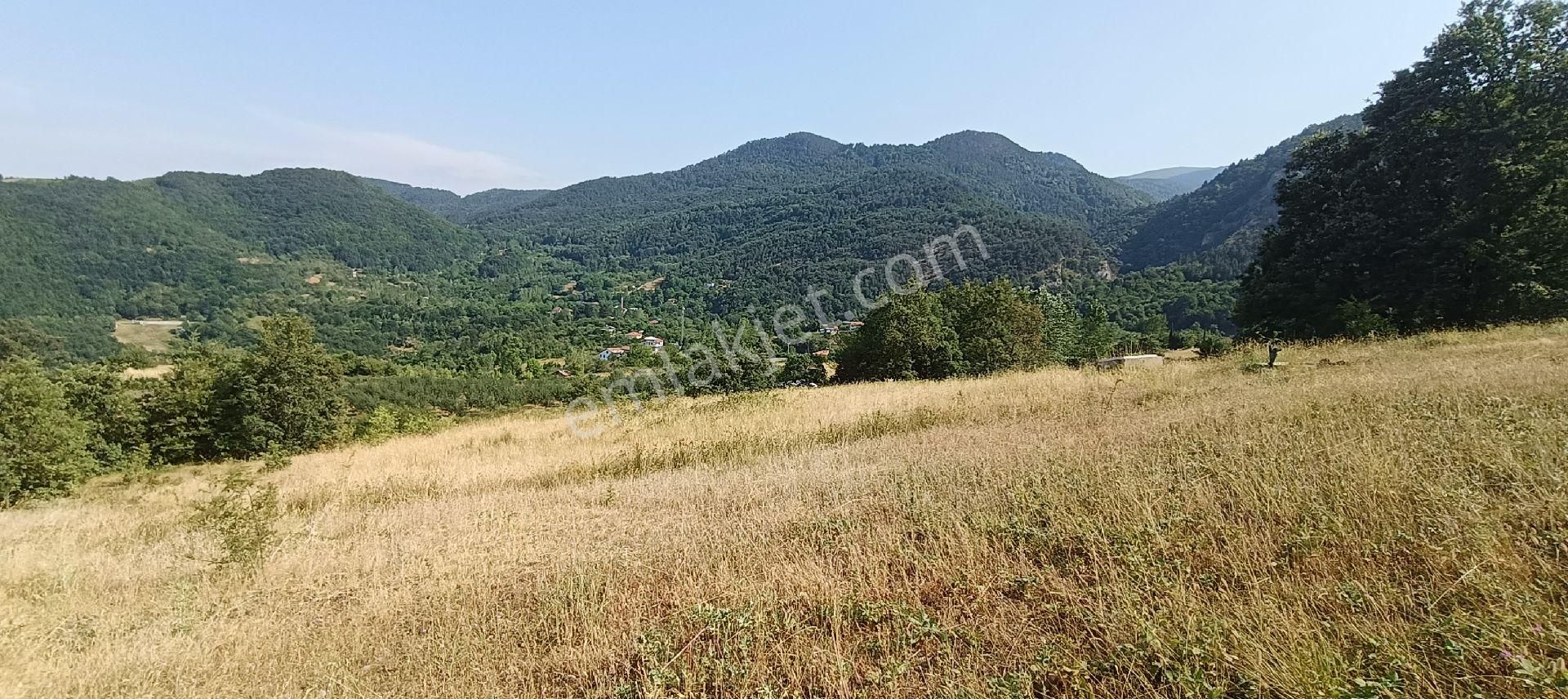 Fevziye Mahallesinde Yatırımlık Acil Satılık Kadastro Yola Cephe İmara 25 Metre Mesafede Tarla - Görsel 11
