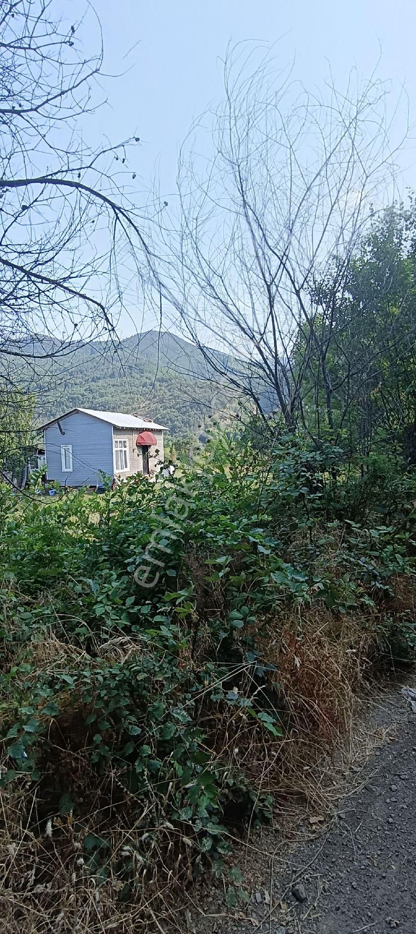 Fevziye Mahallesinde Yatırımlık Acil Satılık Kadastro Yola Cephe İmara 25 Metre Mesafede Tarla - Görsel 25