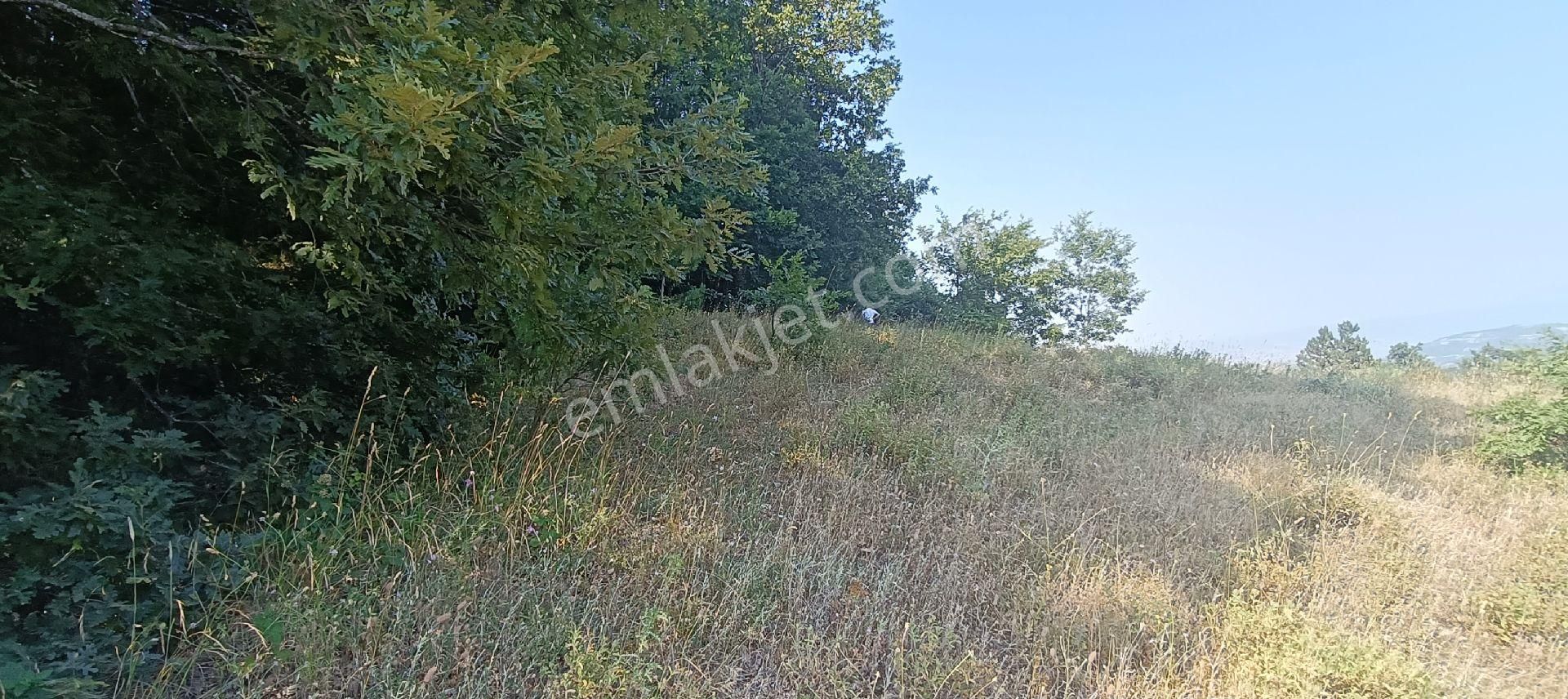 Fevziye Mahallesinde Yatırımlık Acil Satılık Kadastro Yola Cephe İmara 25 Metre Mesafede Tarla - Görsel 9