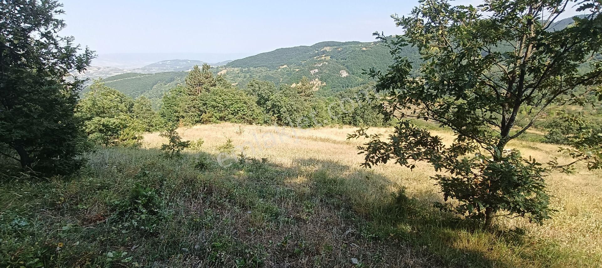 Fevziye Mahallesinde Yatırımlık Acil Satılık Kadastro Yola Cephe İmara 25 Metre Mesafede Tarla - Görsel 3