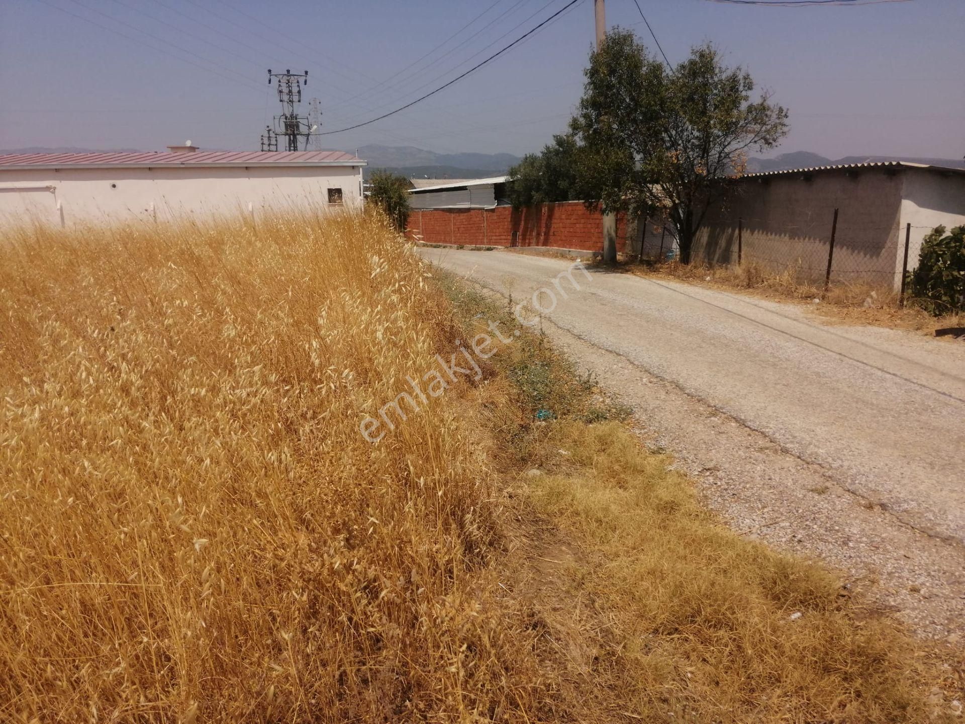 Menderes Turyap'tan Dereköy'de 325m² Satılık Hisse Tapulu Tarla - Görsel 12