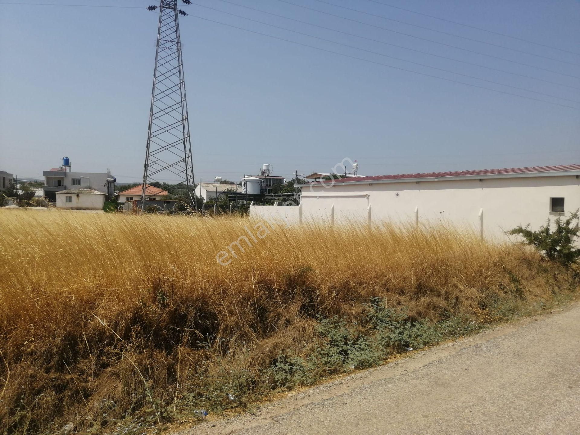 Menderes Turyap'tan Dereköy'de 325m² Satılık Hisse Tapulu Tarla - Görsel 16