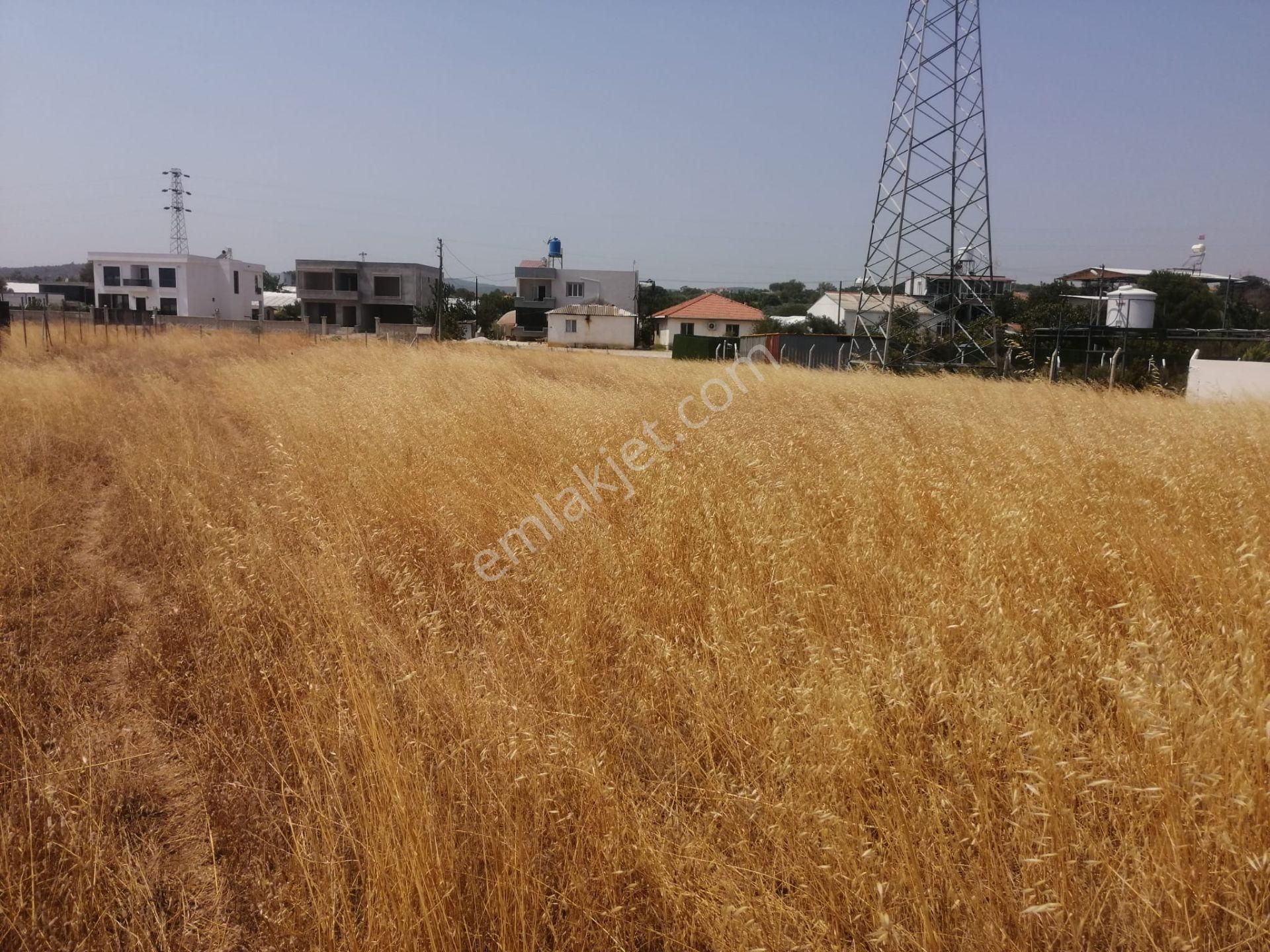 Menderes Turyap'tan Dereköy'de 325m² Satılık Hisse Tapulu Tarla - Görsel 13