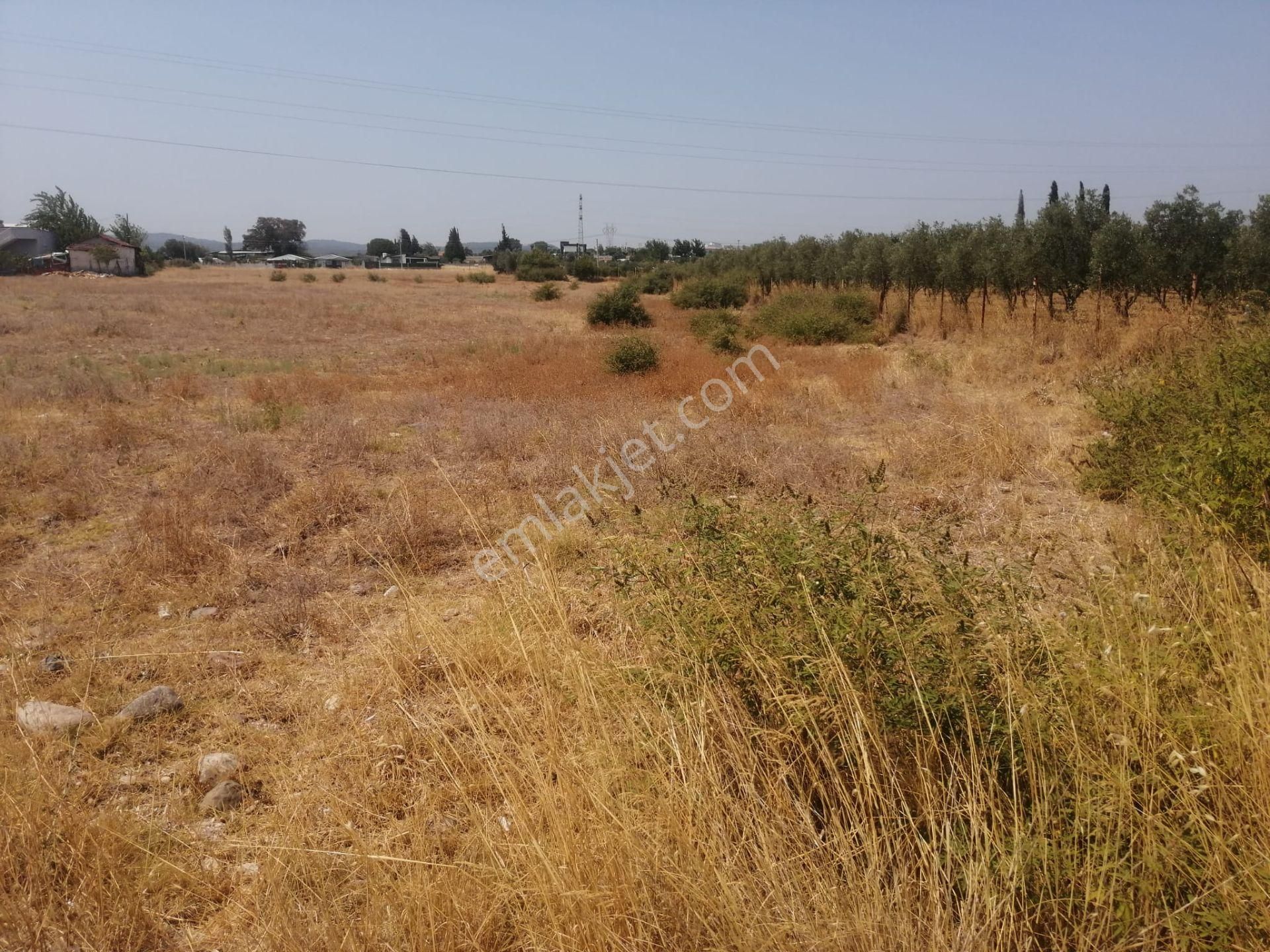 Menderes Turyap'tan Dereköy'de 325m² Satılık Hisse Tapulu Tarla - Görsel 5