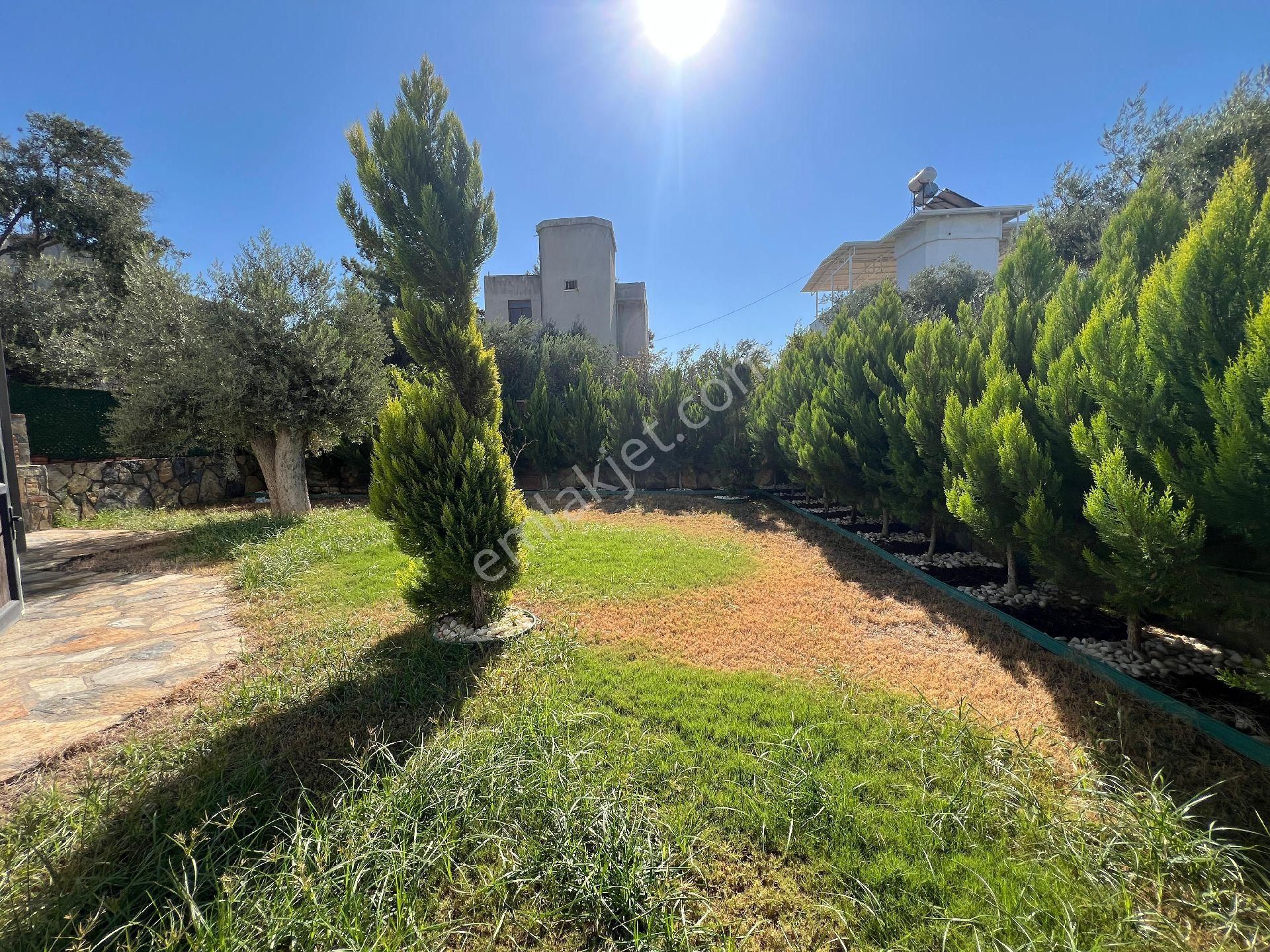 Didim Akbükte Havuzlu Villa - Görsel 6