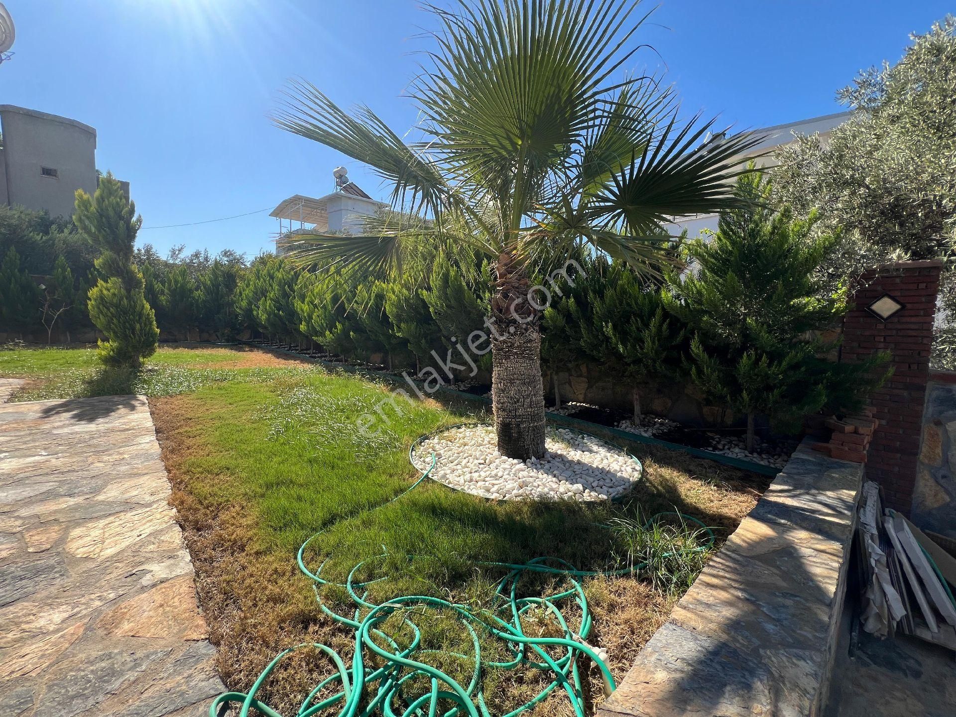 Didim Akbükte Havuzlu Villa - Görsel 4