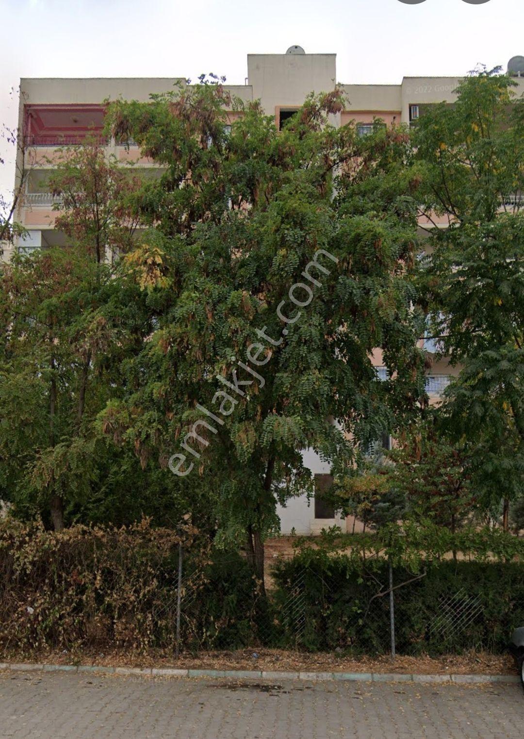 Masrafsız ,yenitadilatlı 3+1 Fırsatı - Görsel 4