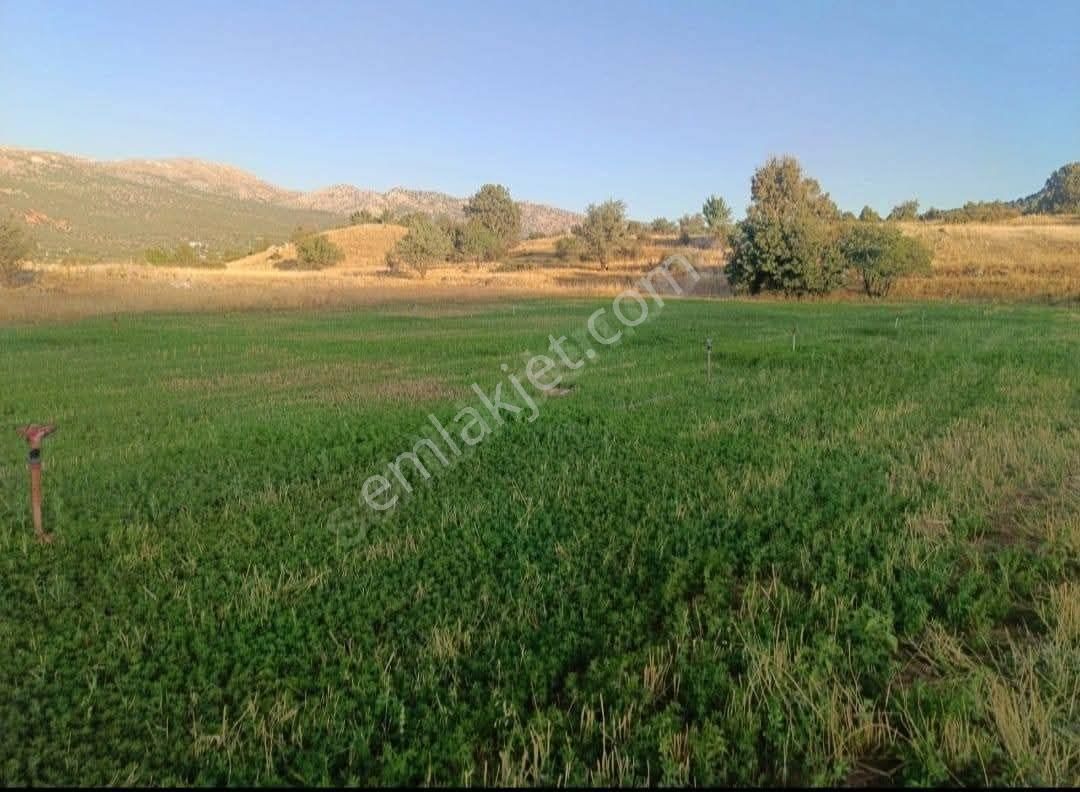 ✅muğla Seydikemer✅doğanlarda ✅satılık 3.112m2 Tarla✅sulama Suyu Var - Görsel 5