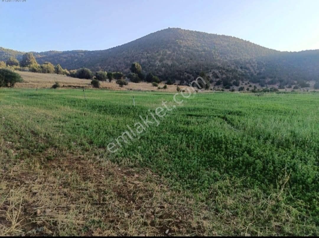✅muğla Seydikemer✅doğanlarda ✅satılık 3.112m2 Tarla✅sulama Suyu Var - Görsel 6