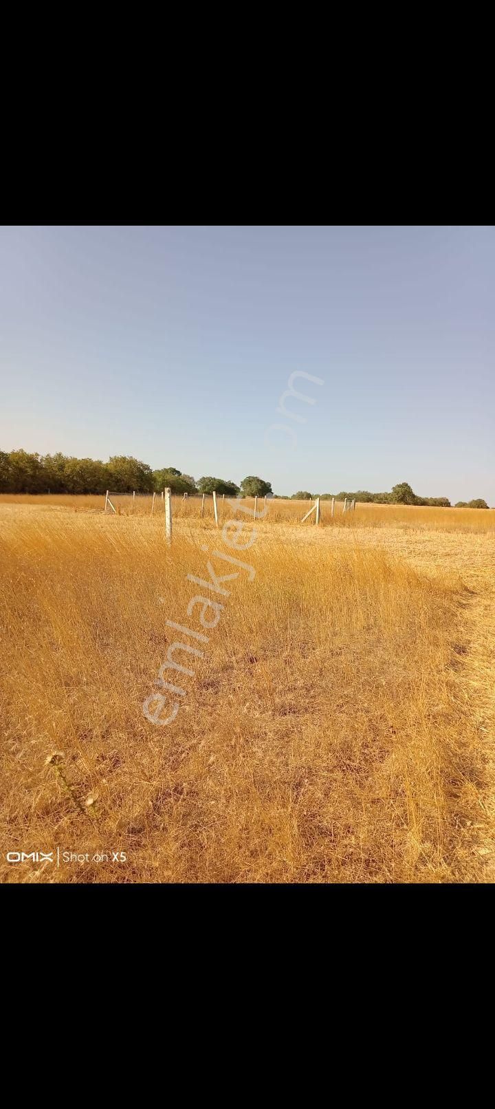 Silivri Değirmenköy 332 - Görsel 3