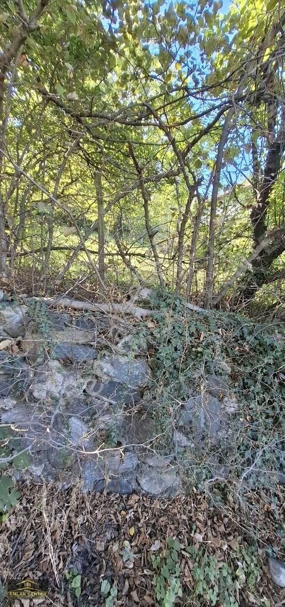 Kestel Saitabatta 429 M2 İmarlı Arsa Masrafsız - Görsel 6