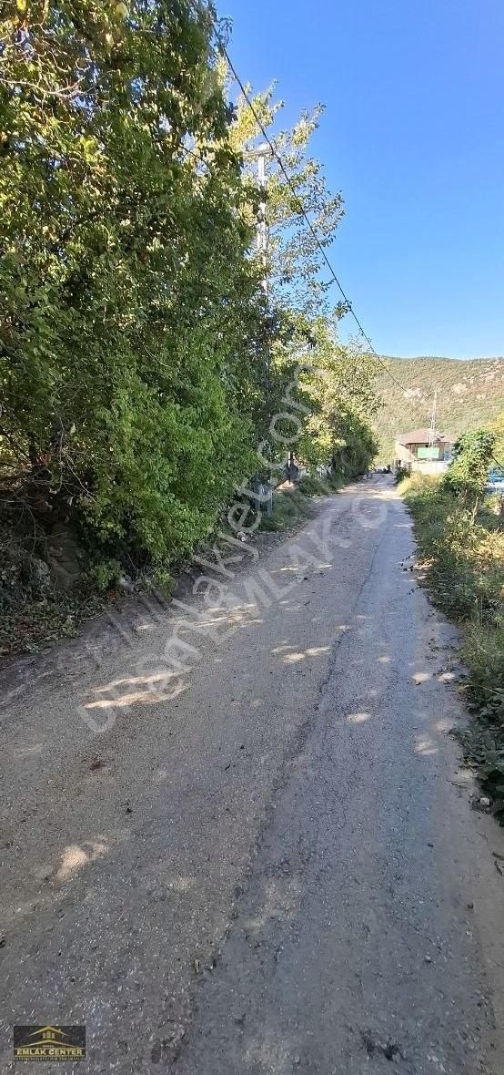 Kestel Saitabatta 429 M2 İmarlı Arsa Masrafsız