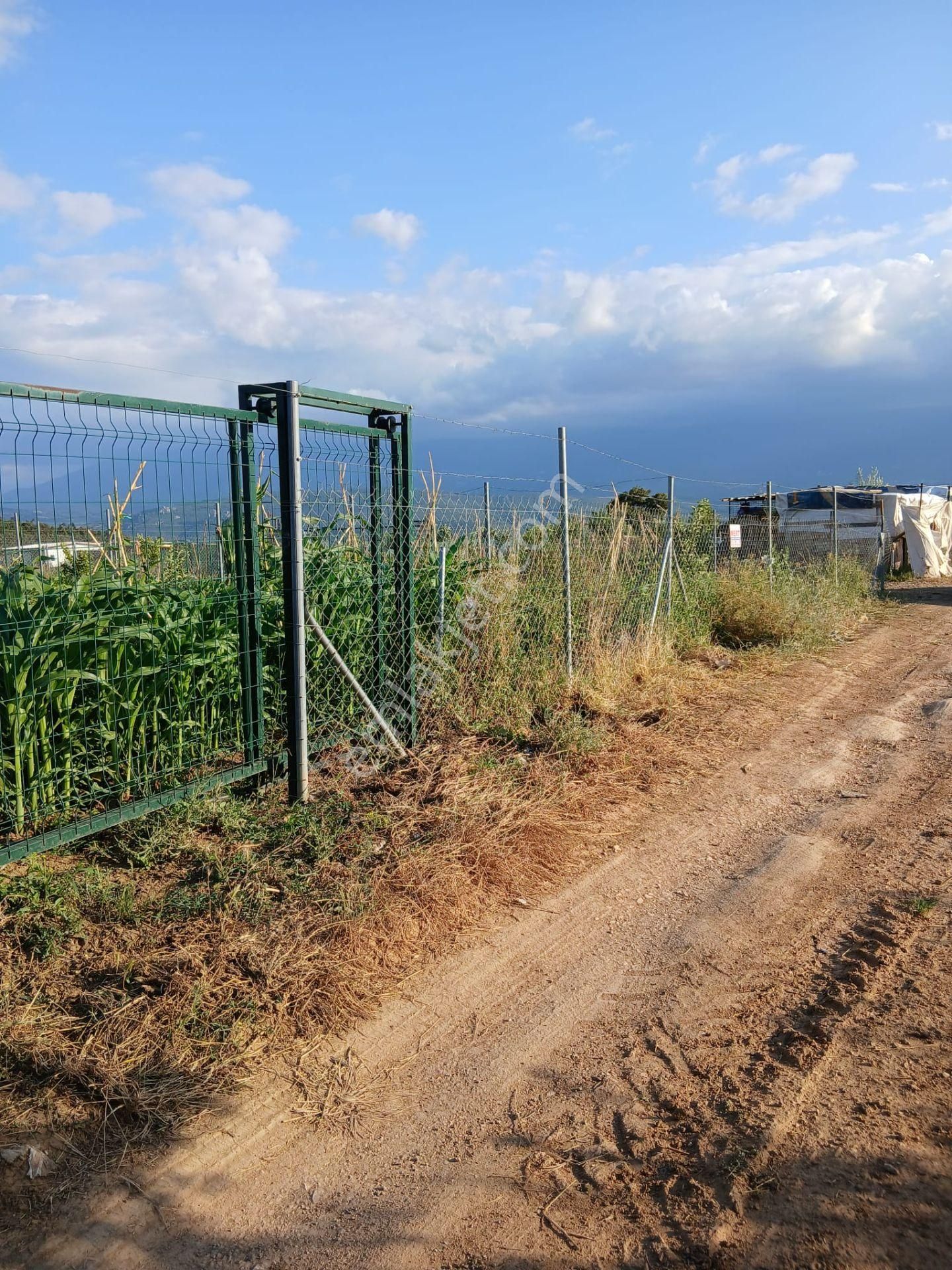 Kestel Kayacık Da Satılık 200m2hobi Bahçesi