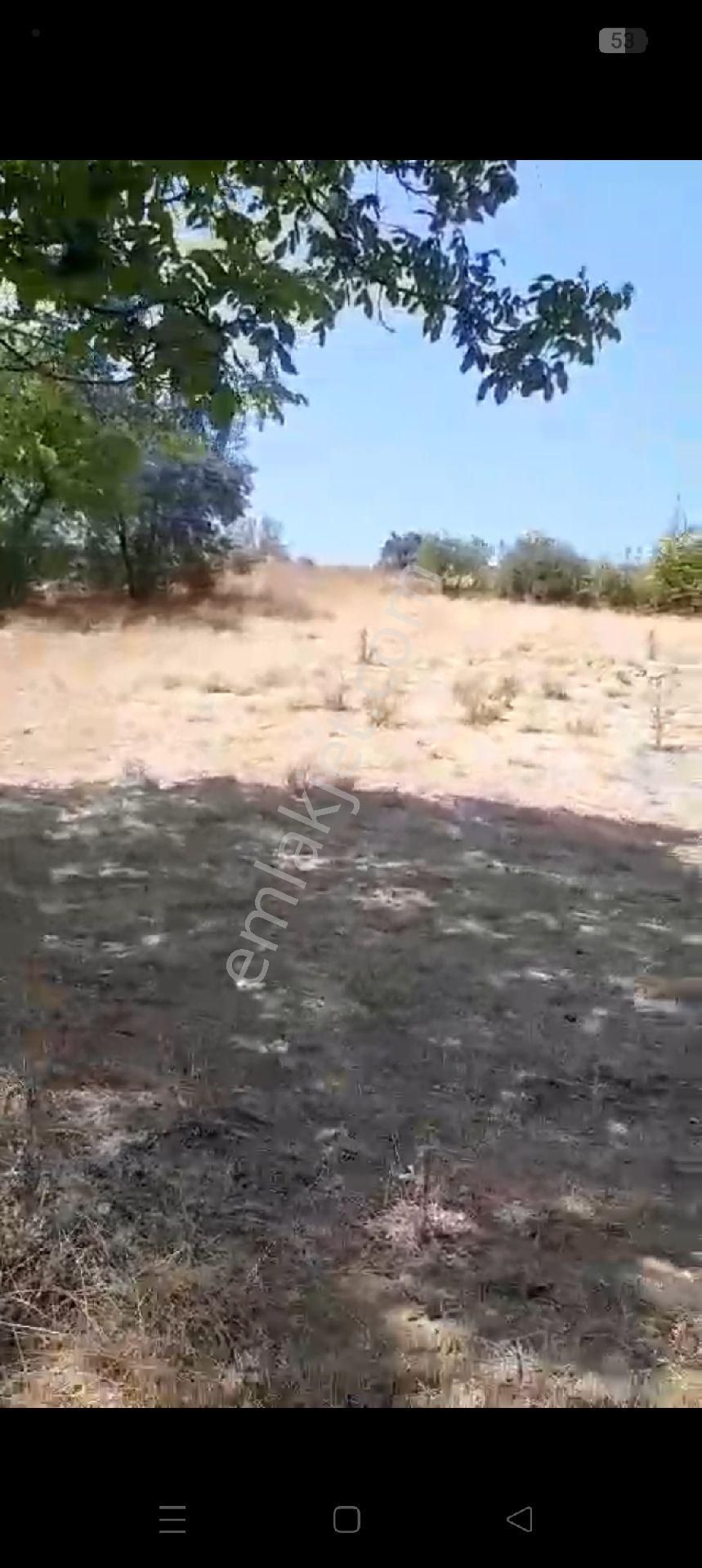 Çitli Mahallesinde Acil Satılık Uygun Fiyatlı Tar - Görsel 2