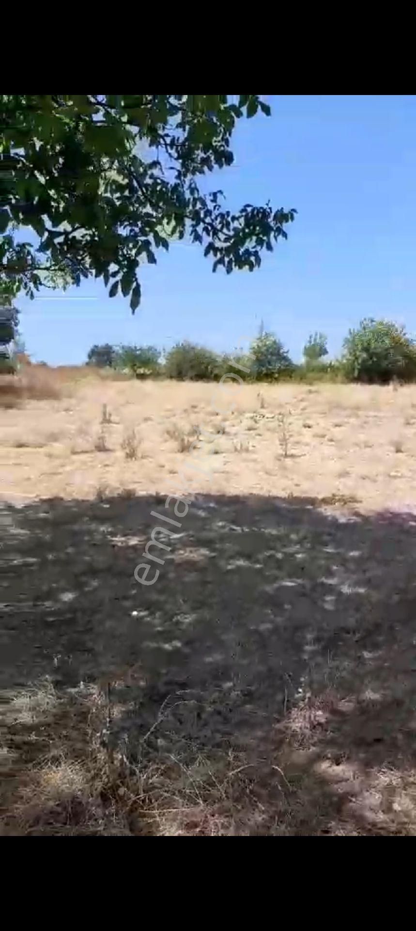 Çitli Mahallesinde Acil Satılık Uygun Fiyatlı Tar - Görsel 3