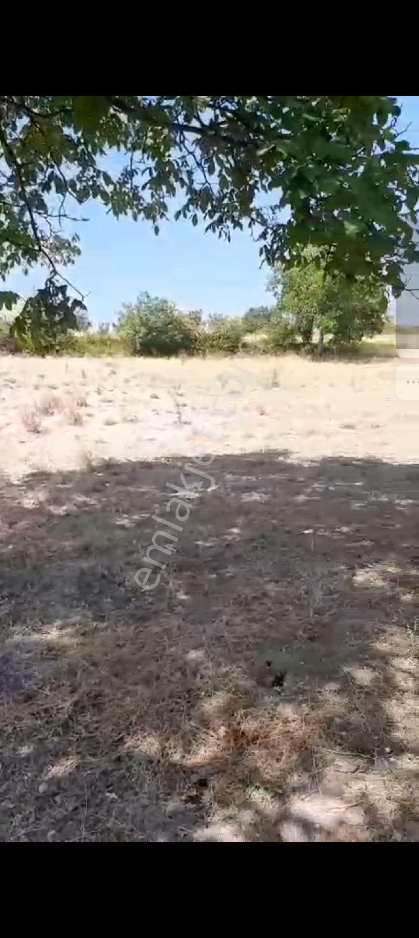 Çitli Mahallesinde Acil Satılık Uygun Fiyatlı Tar - Görsel 6