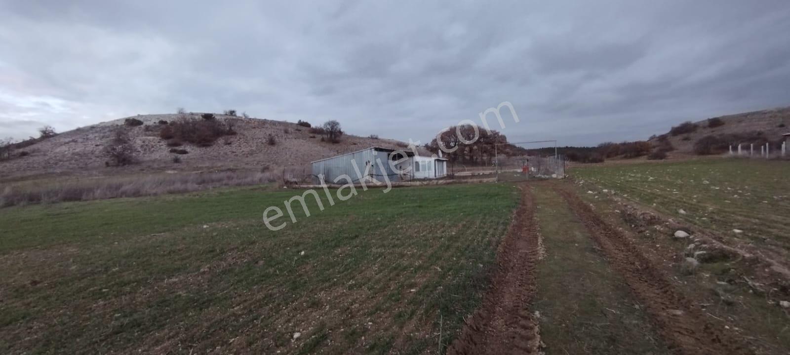 Yeniakçayırda Satılık Tarla İçinde Müstakil Ev ❗ - Görsel 2