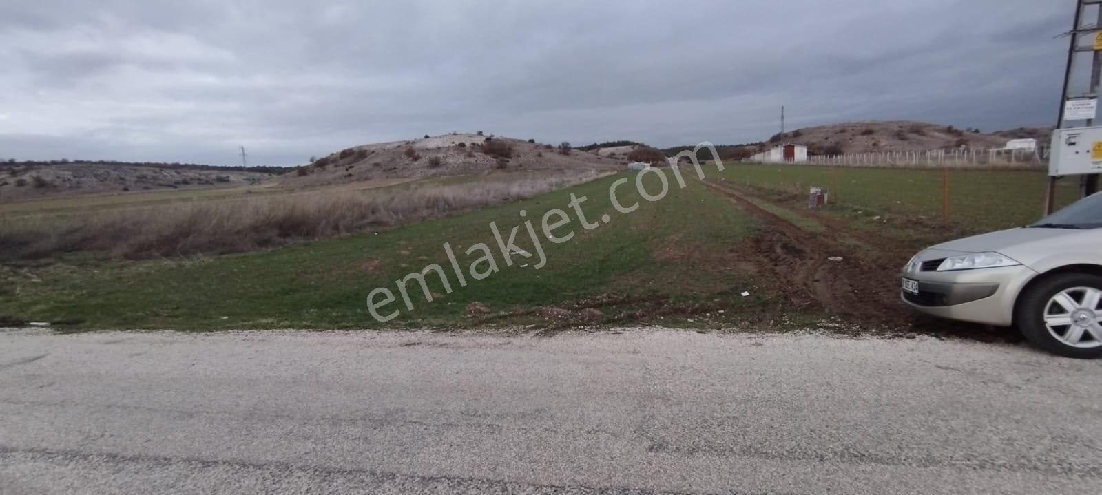 Yeniakçayırda Satılık Tarla İçinde Müstakil Ev ❗ - Görsel 4