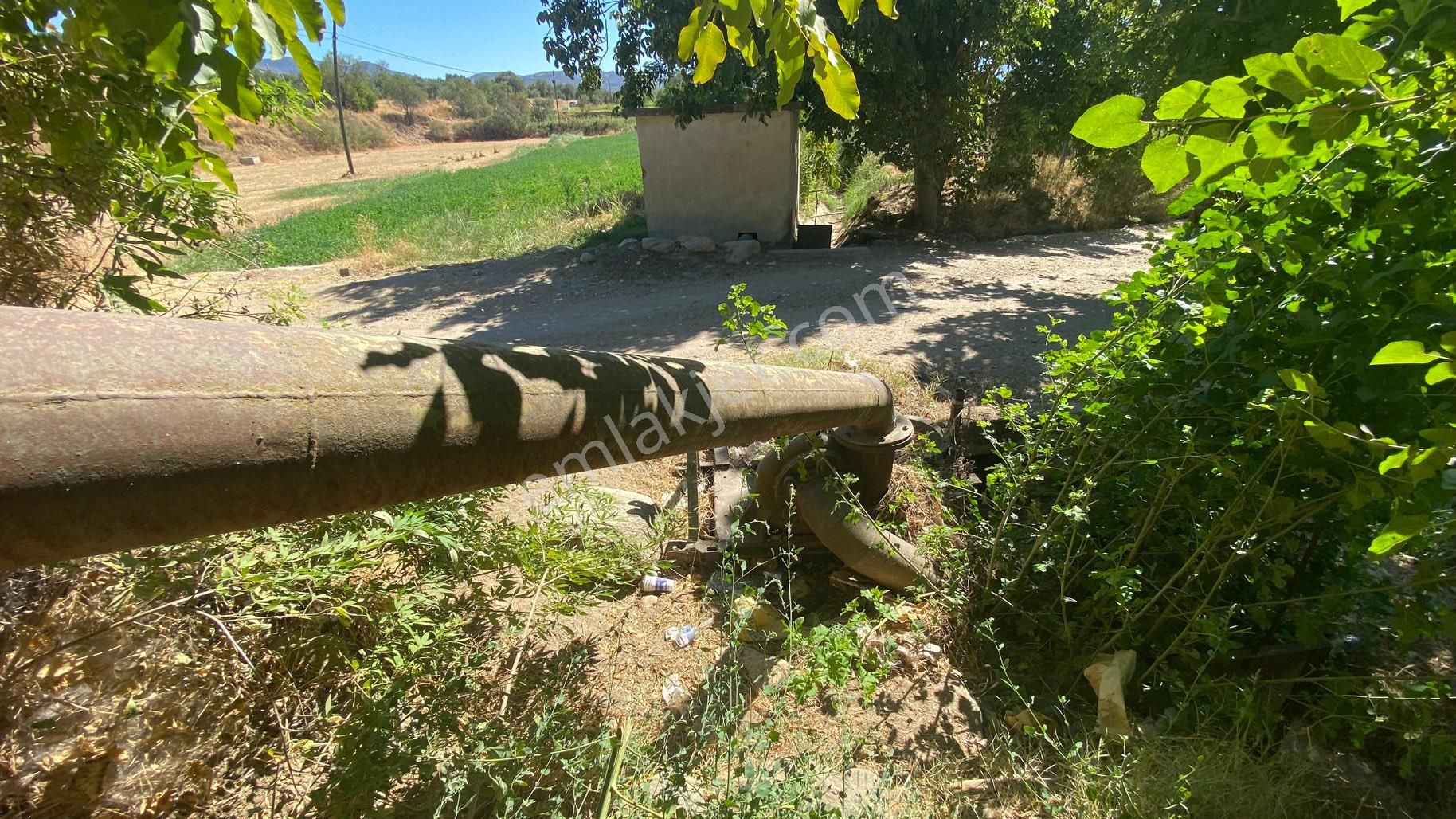 Arpazda 9 Dönüm Zeytinlik - Görsel 26