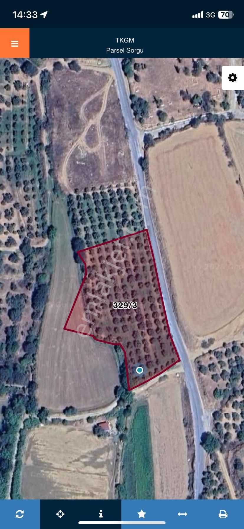 Arpazda 9 Dönüm Zeytinlik - Görsel 24