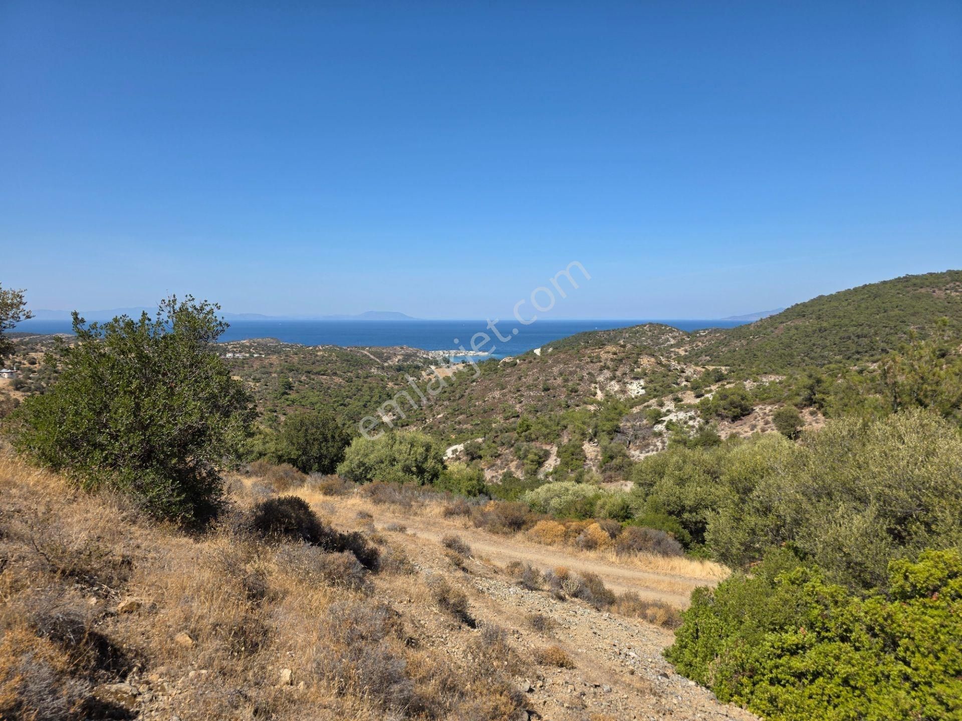 Yeni Foça Sazlıca Köşe Müstakil Parsel İmarlı Satılık Arsa