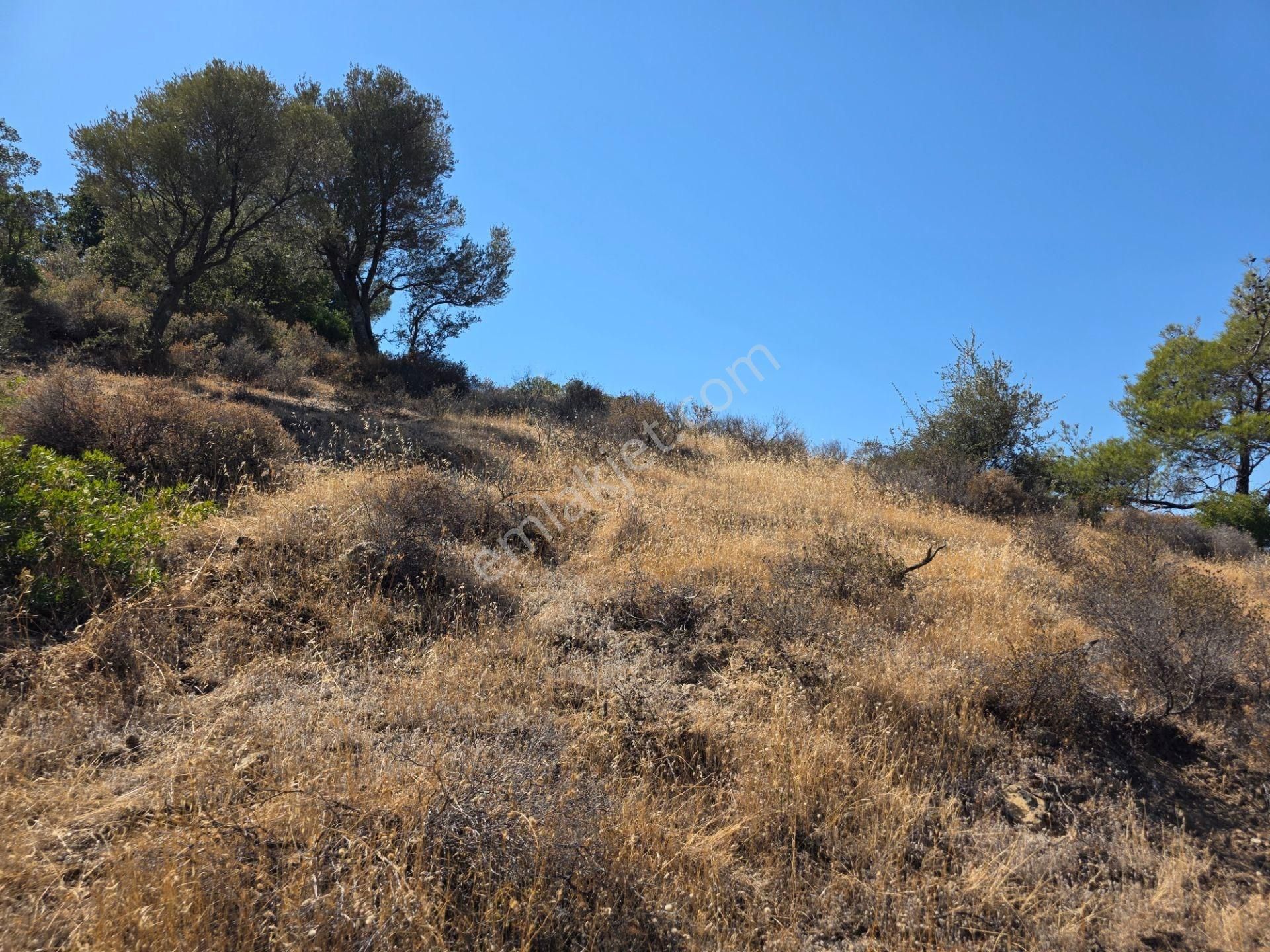 Yeni Foça Sazlıca Köşe Müstakil Parsel İmarlı Satılık Arsa - Görsel 4
