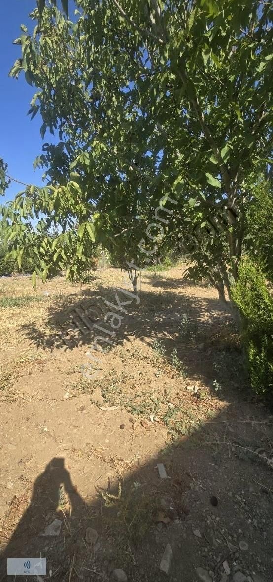 Kemalpaşa Armutlu'da Satılık Dubleks Ev Ve Havuzlu Arazi - Görsel 23