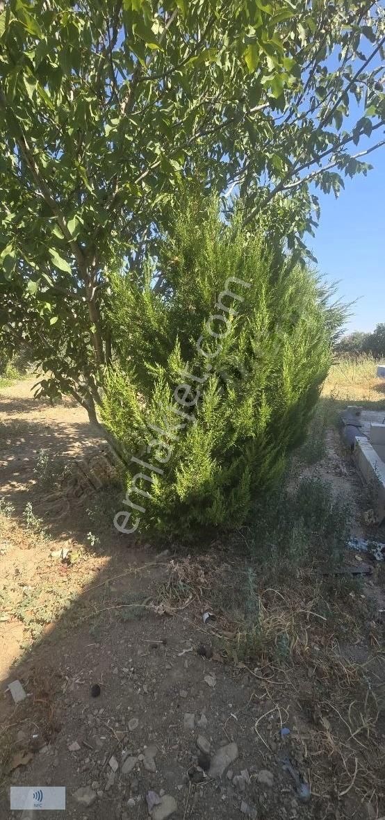 Kemalpaşa Armutlu'da Satılık Dubleks Ev Ve Havuzlu Arazi - Görsel 24