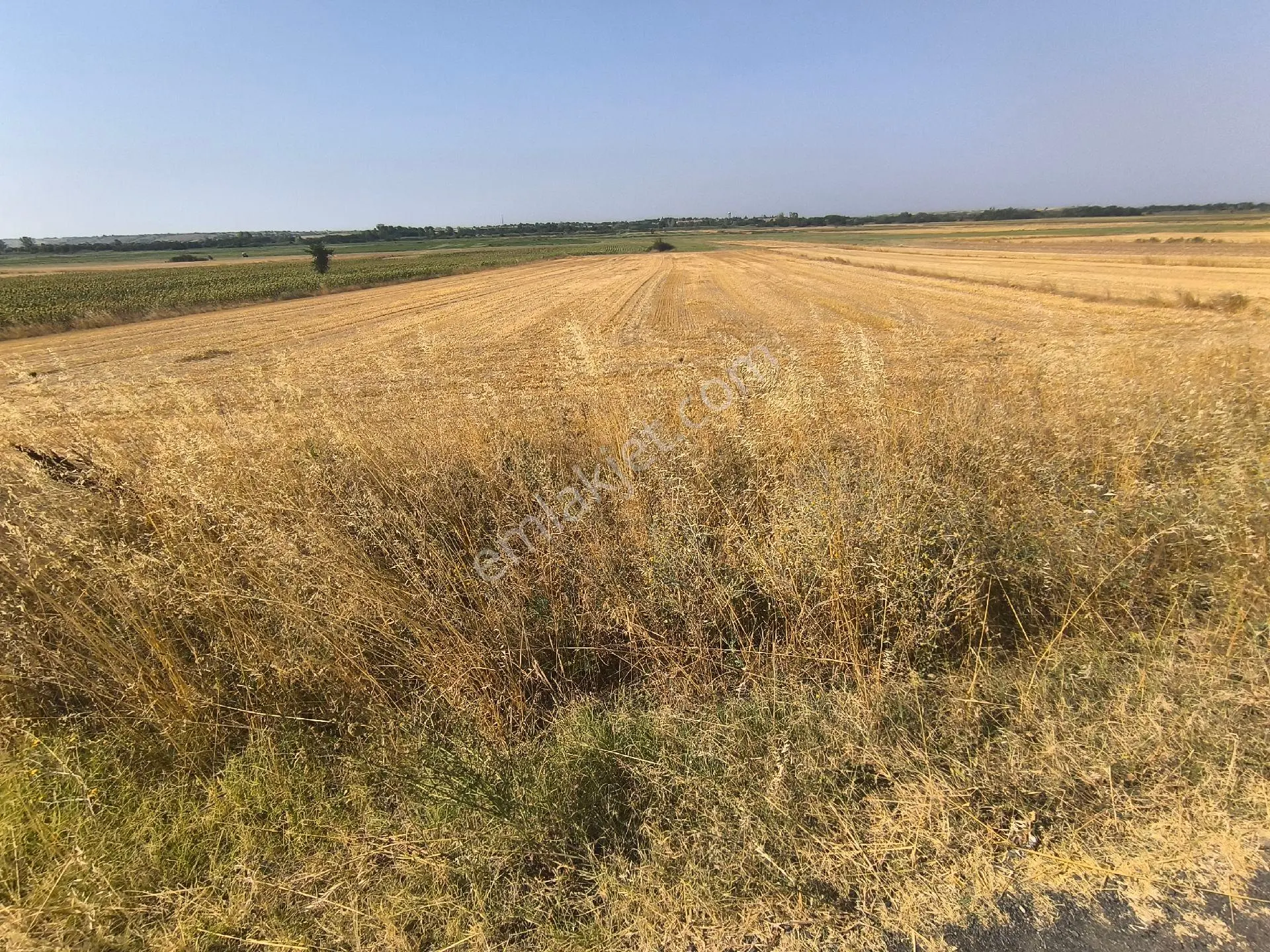 Tekirdağ Hayrabolu Hedeyli De Asfalta Cephe Tarla - Görsel 3