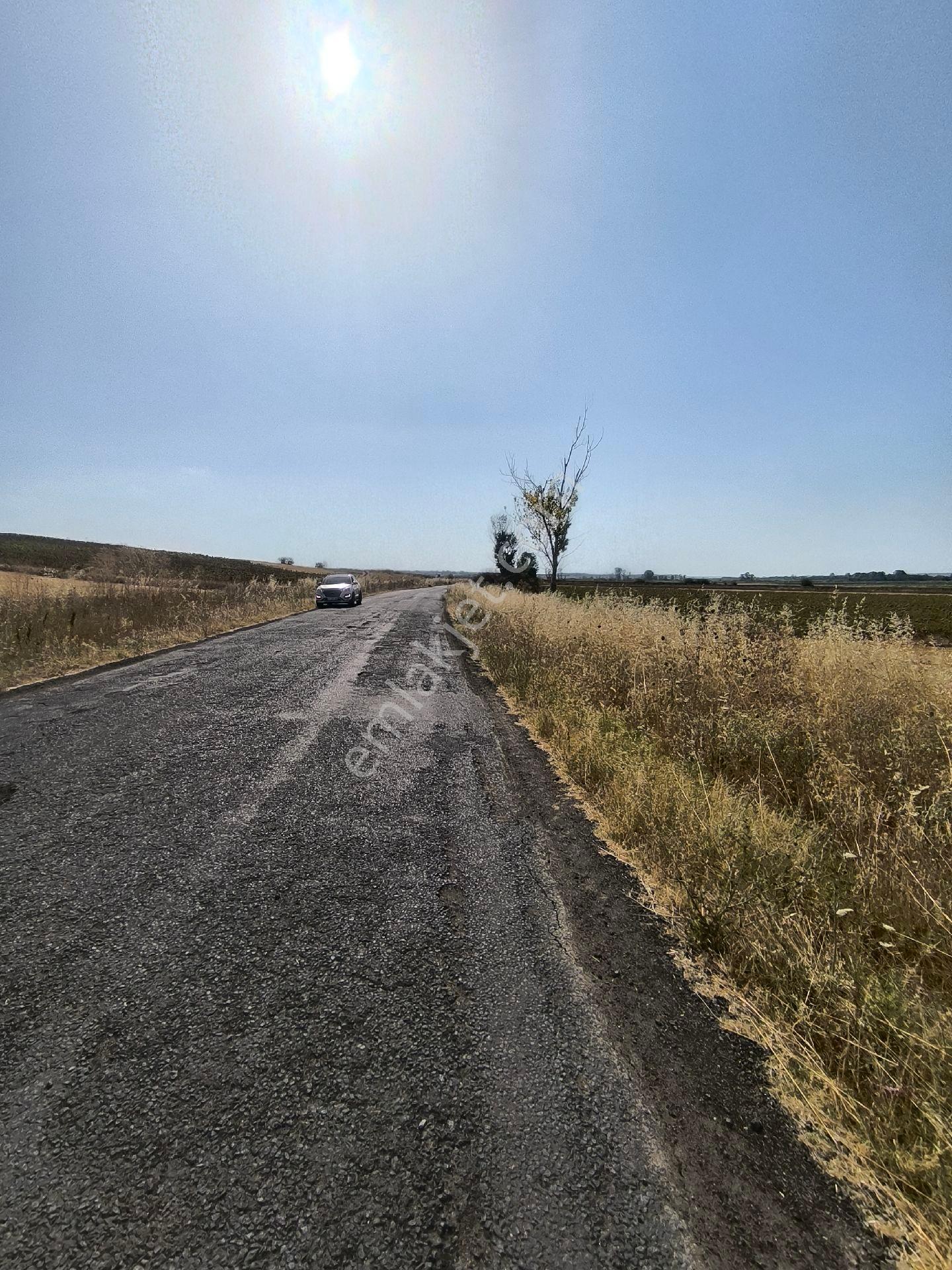 Tekirdağ Hayrabolu Hedeyli De Asfalta Cephe Tarla - Görsel 2
